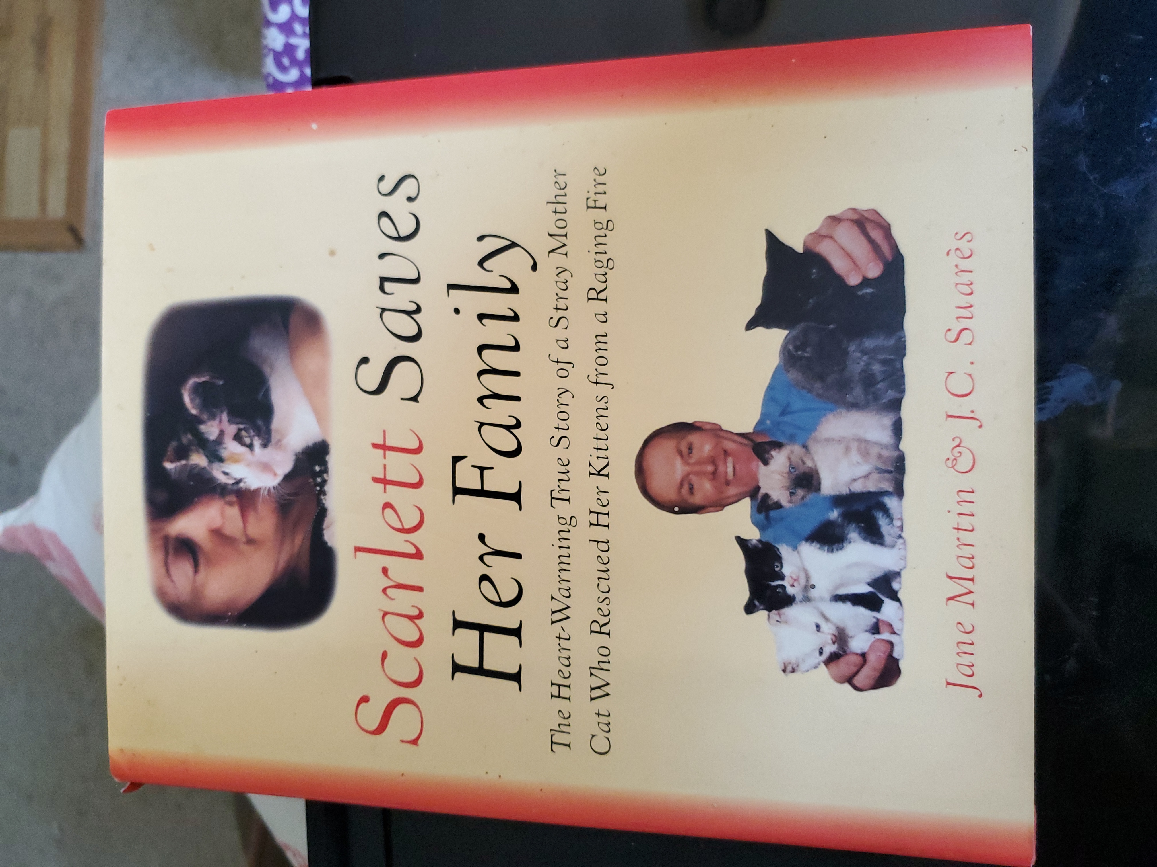 Scarlett Saves Her Family