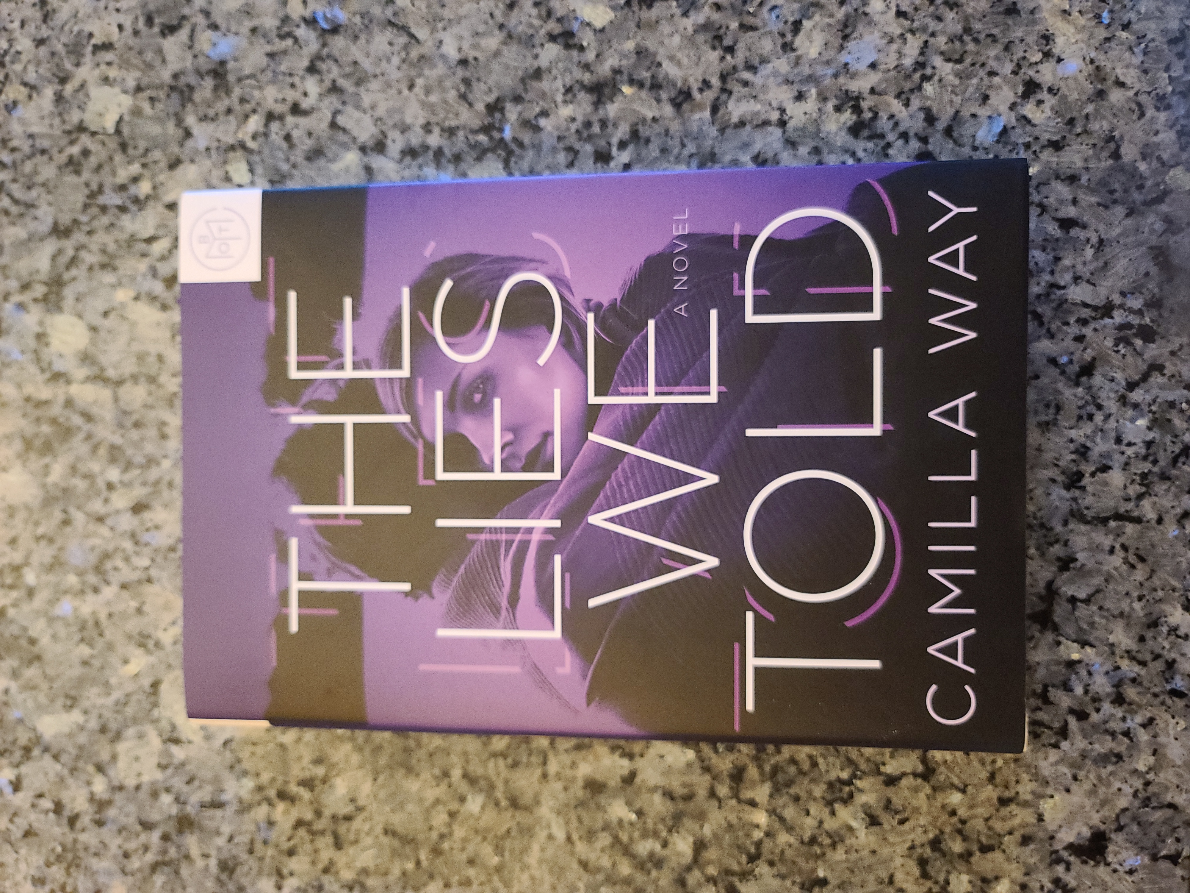 The Lies We Told