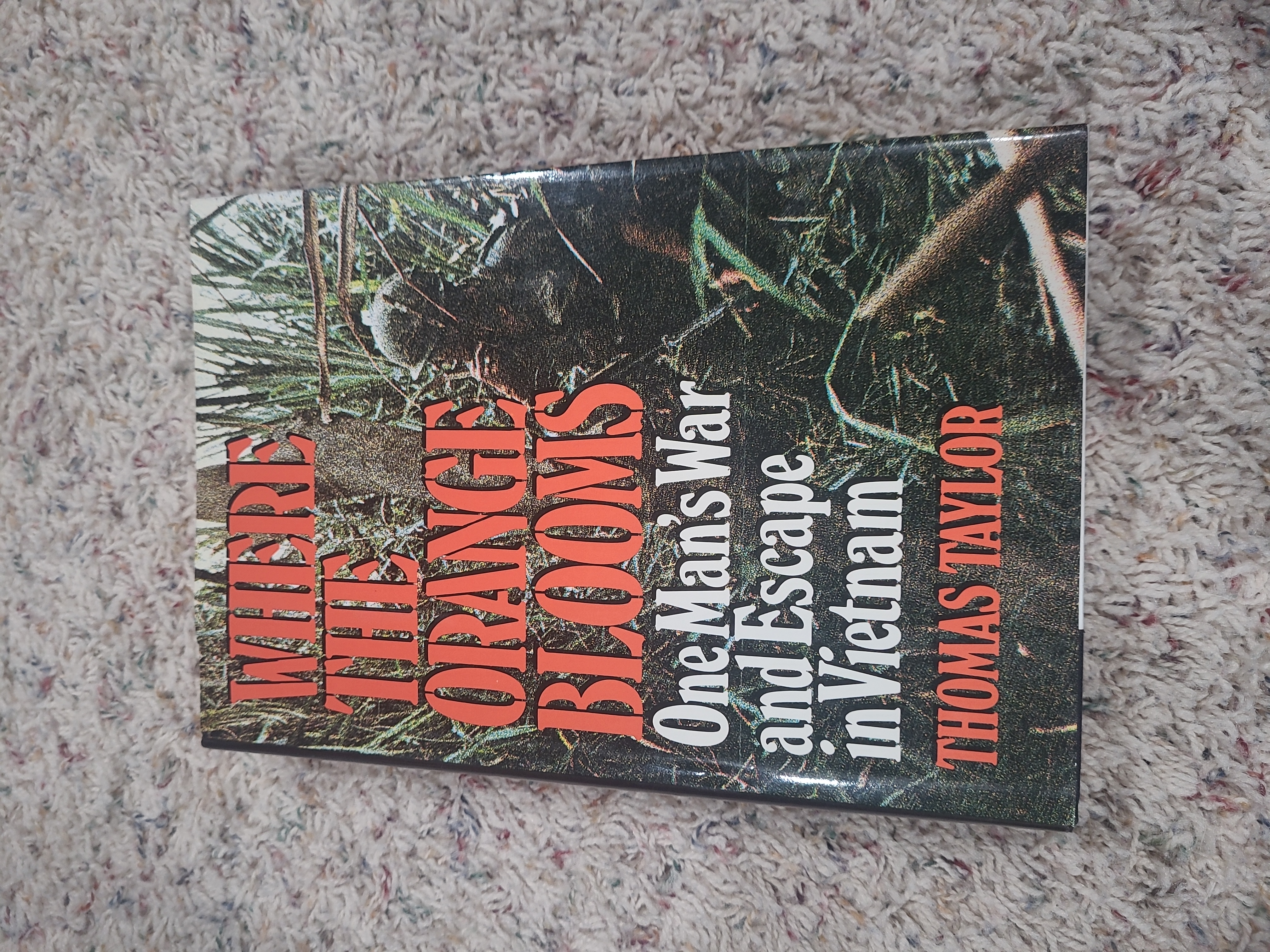 Where the Orange Blooms