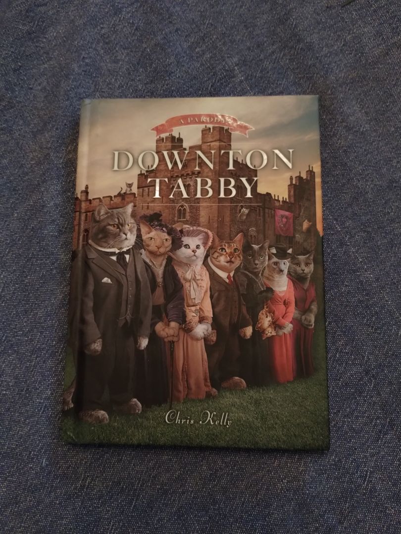 Downton Tabby