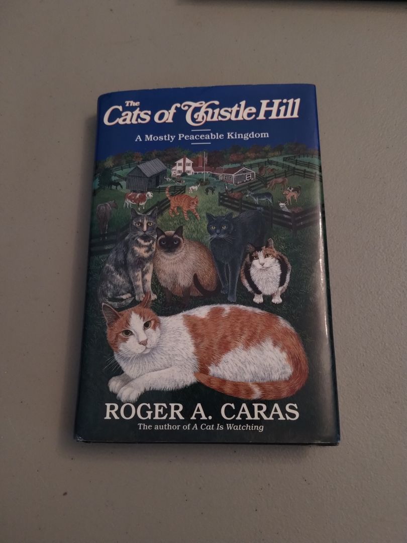The Cats of Thistle Hill