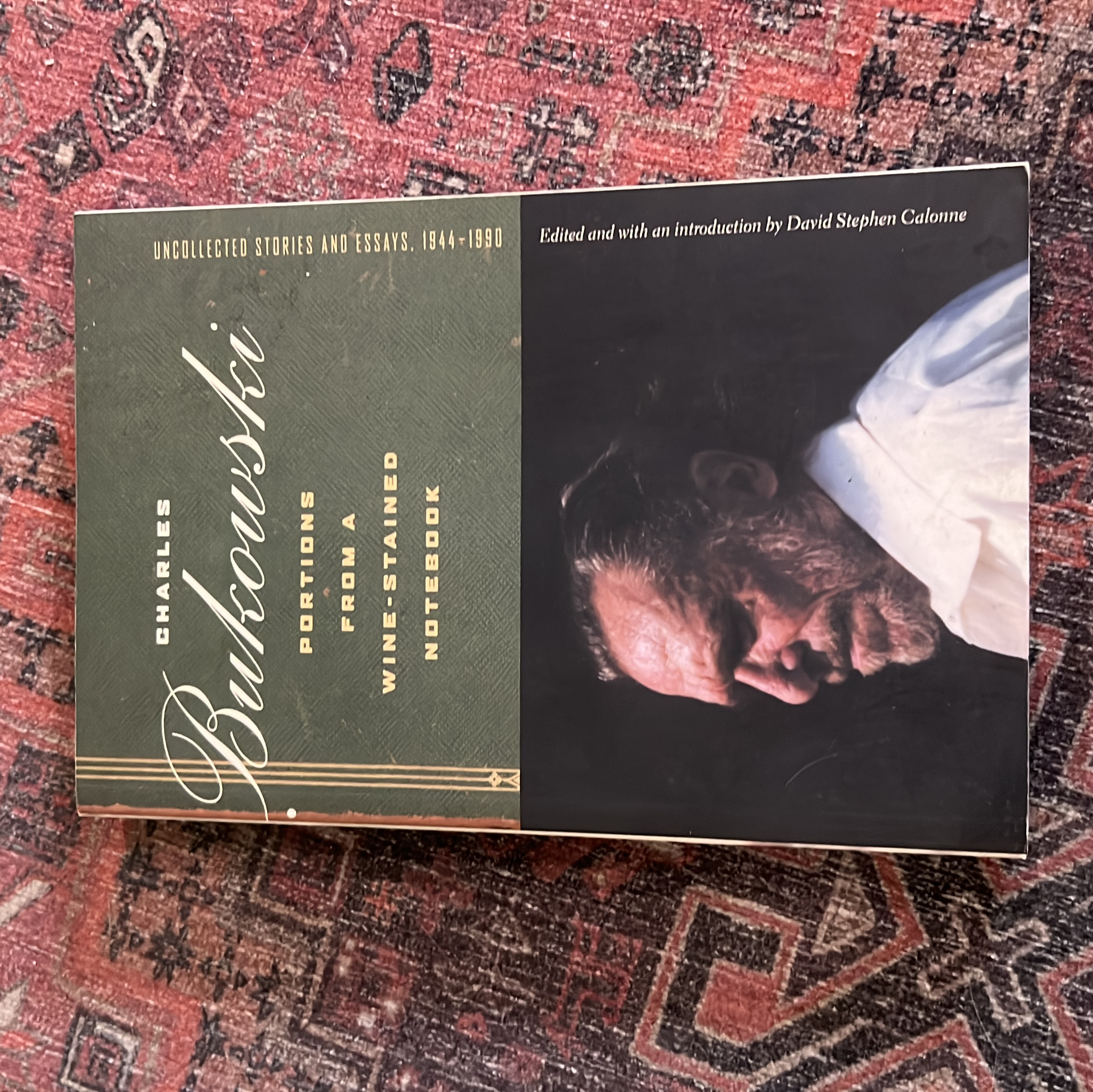 Portions from a Wine-Stained Notebook