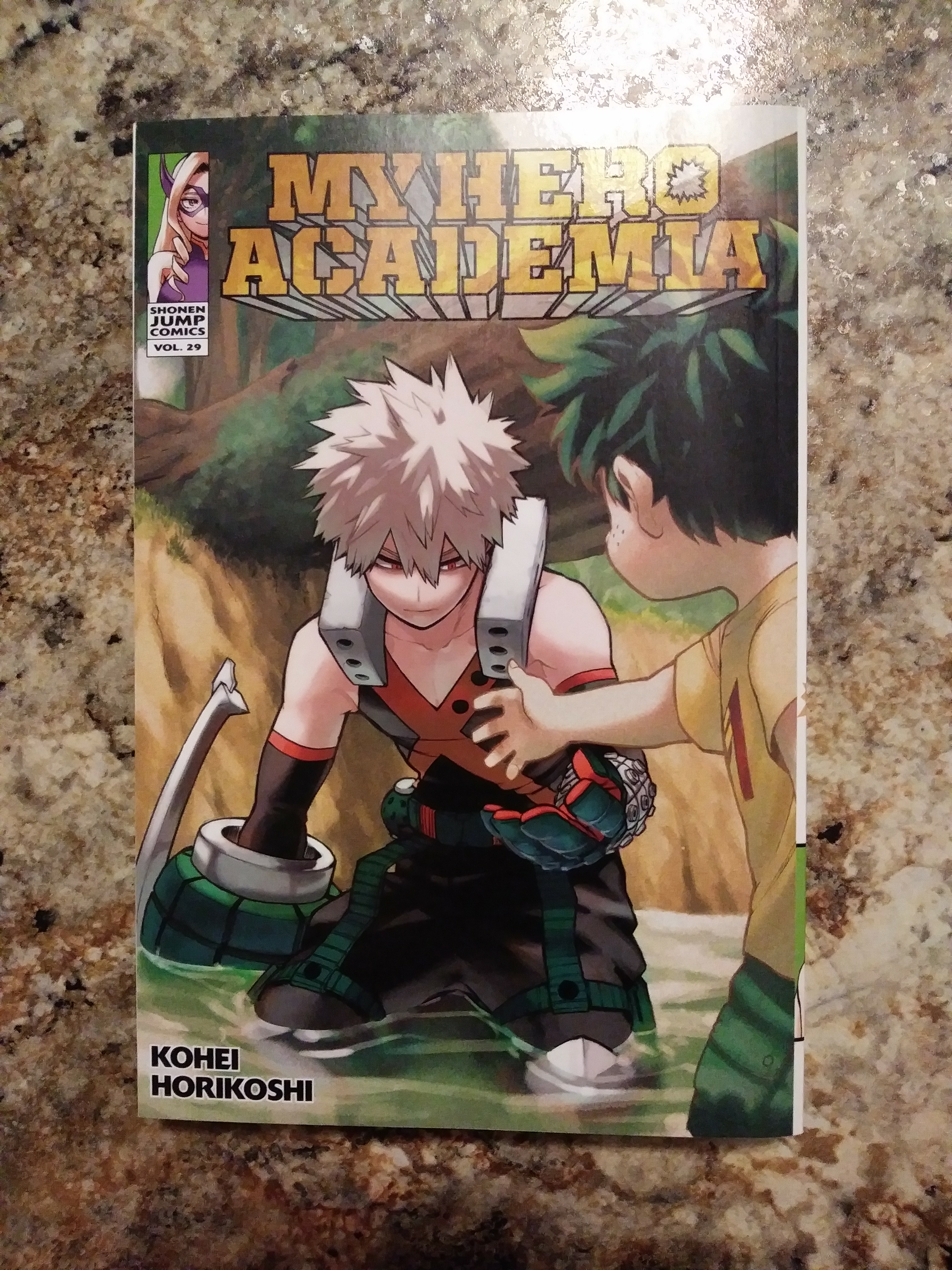 My Hero Academia, Vol. 29