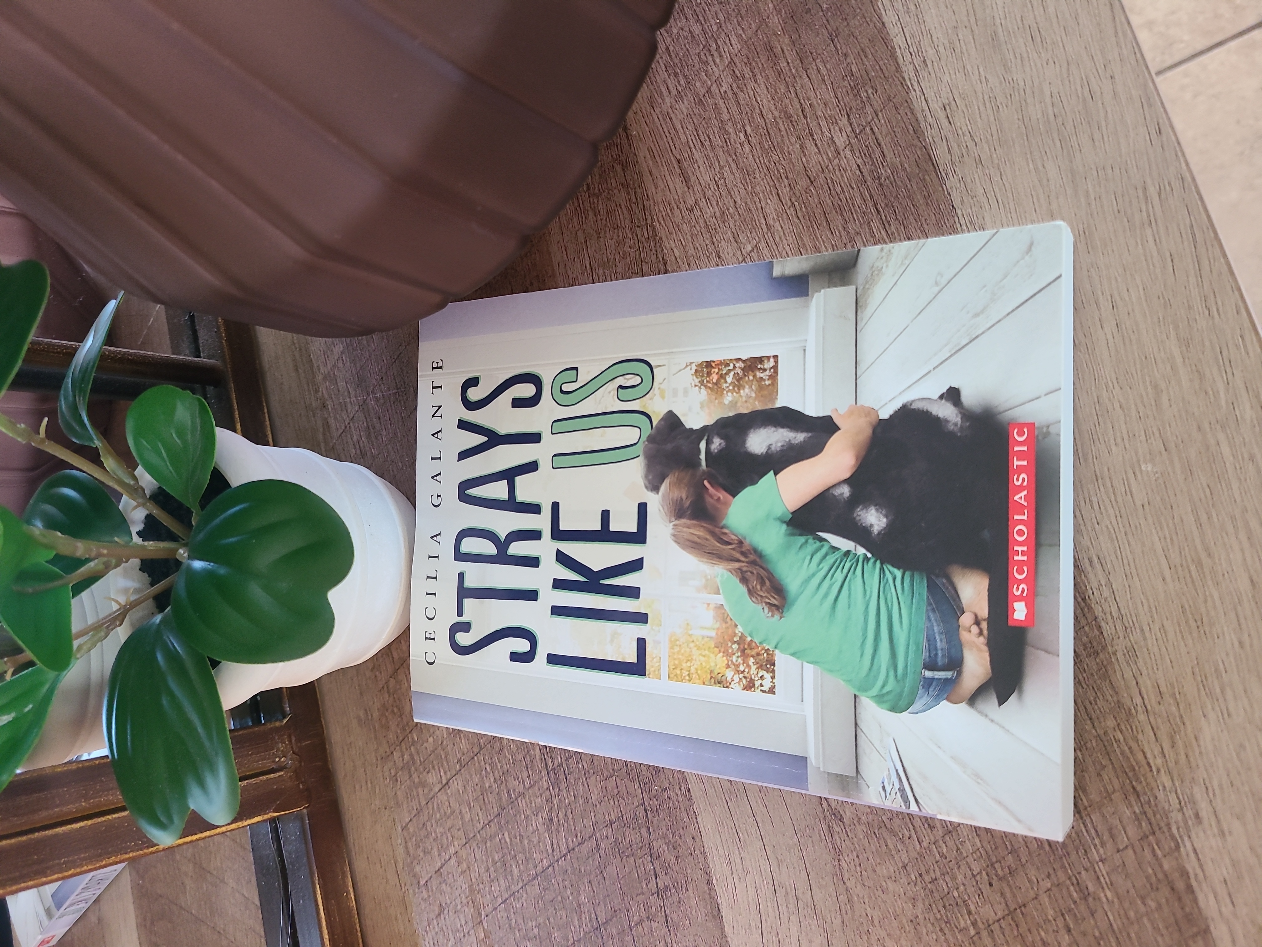 Strays Like Us