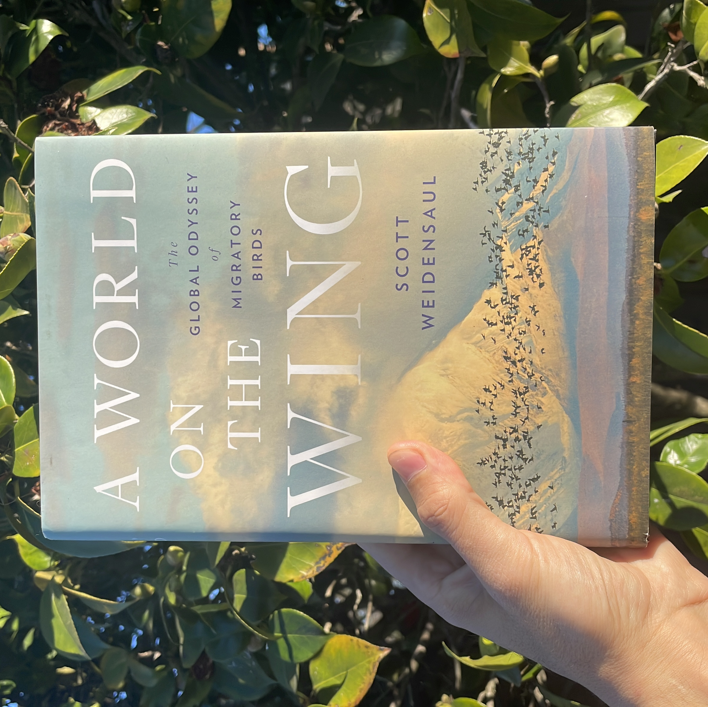 A World on the Wing