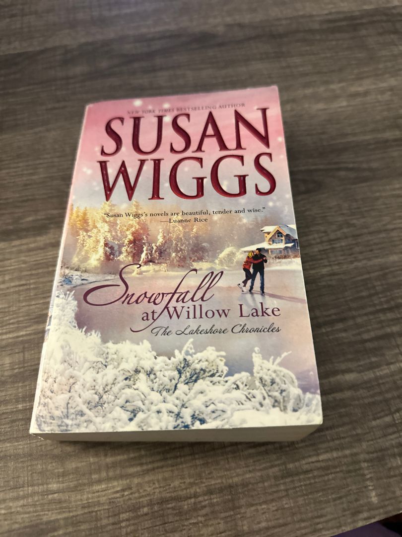Snowfall at Willow Lake