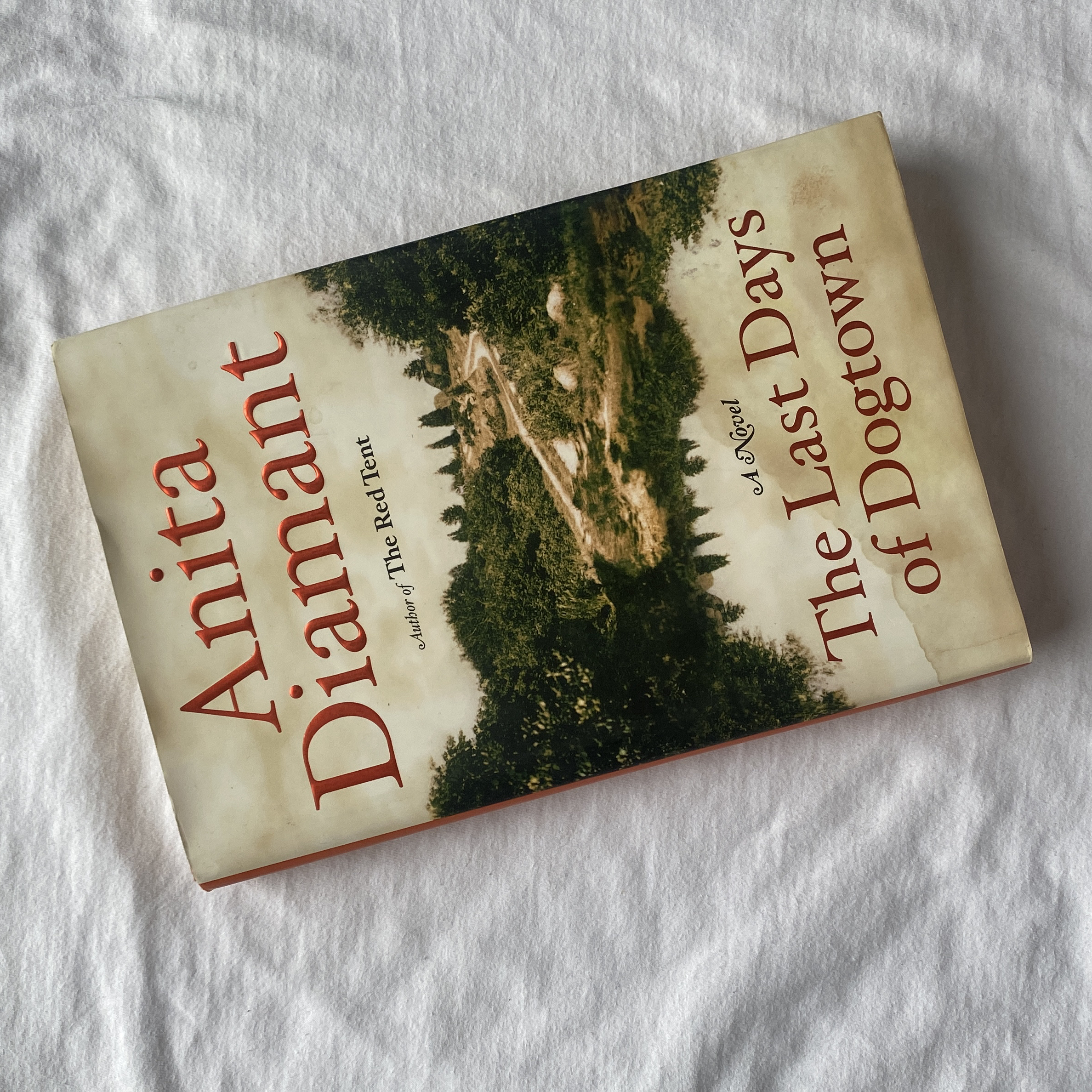 The Last Days of Dogtown