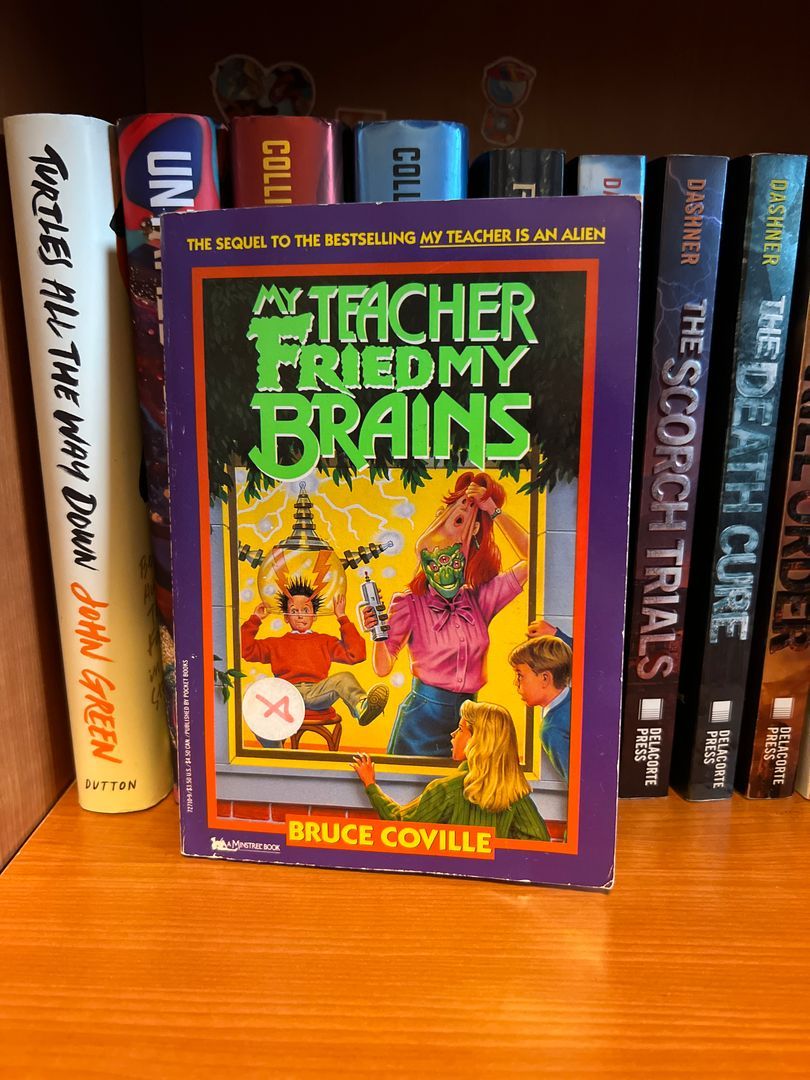 My Teacher Fried My Brains