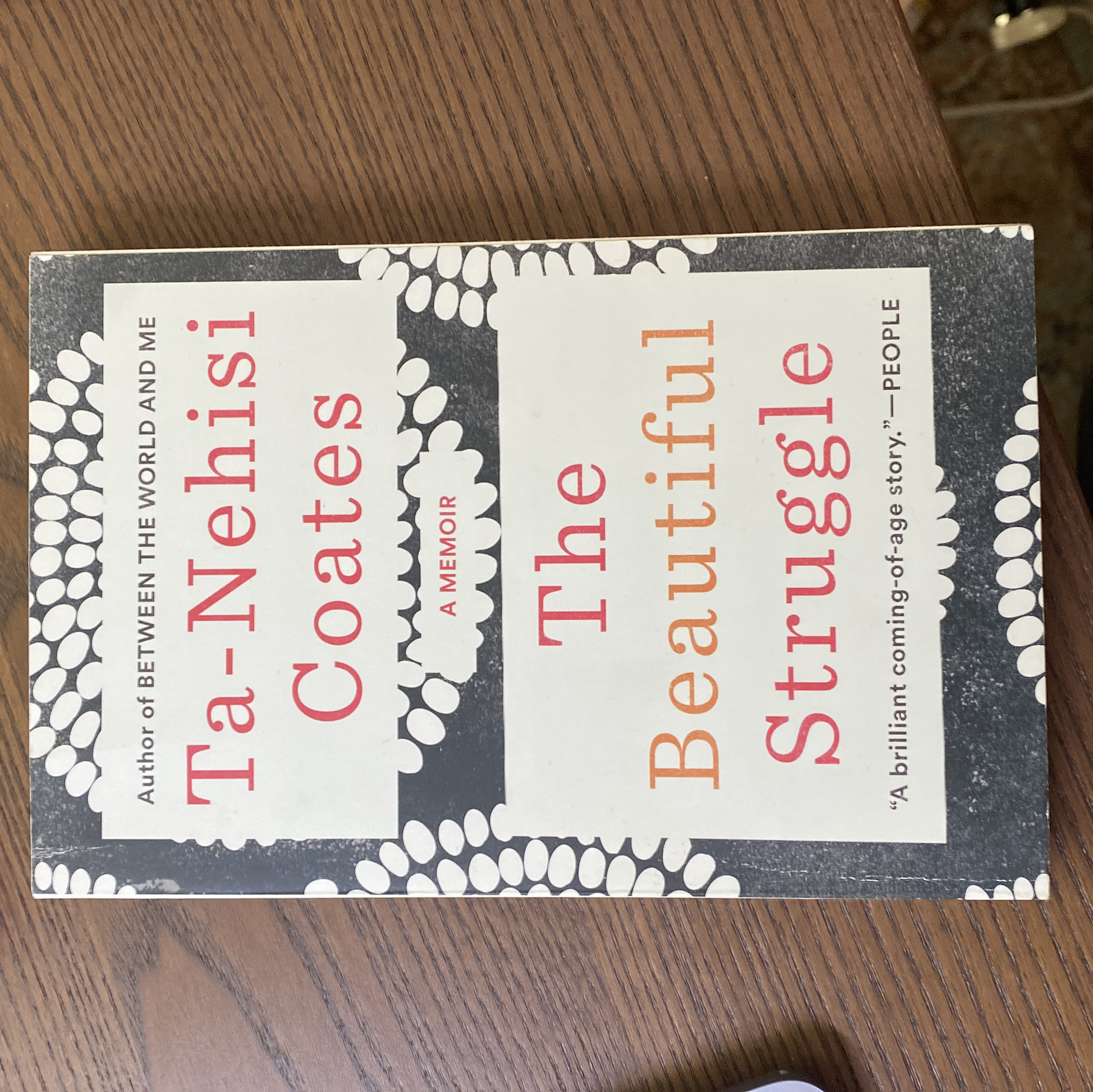 The Beautiful Struggle (Adapted for Young Adults)