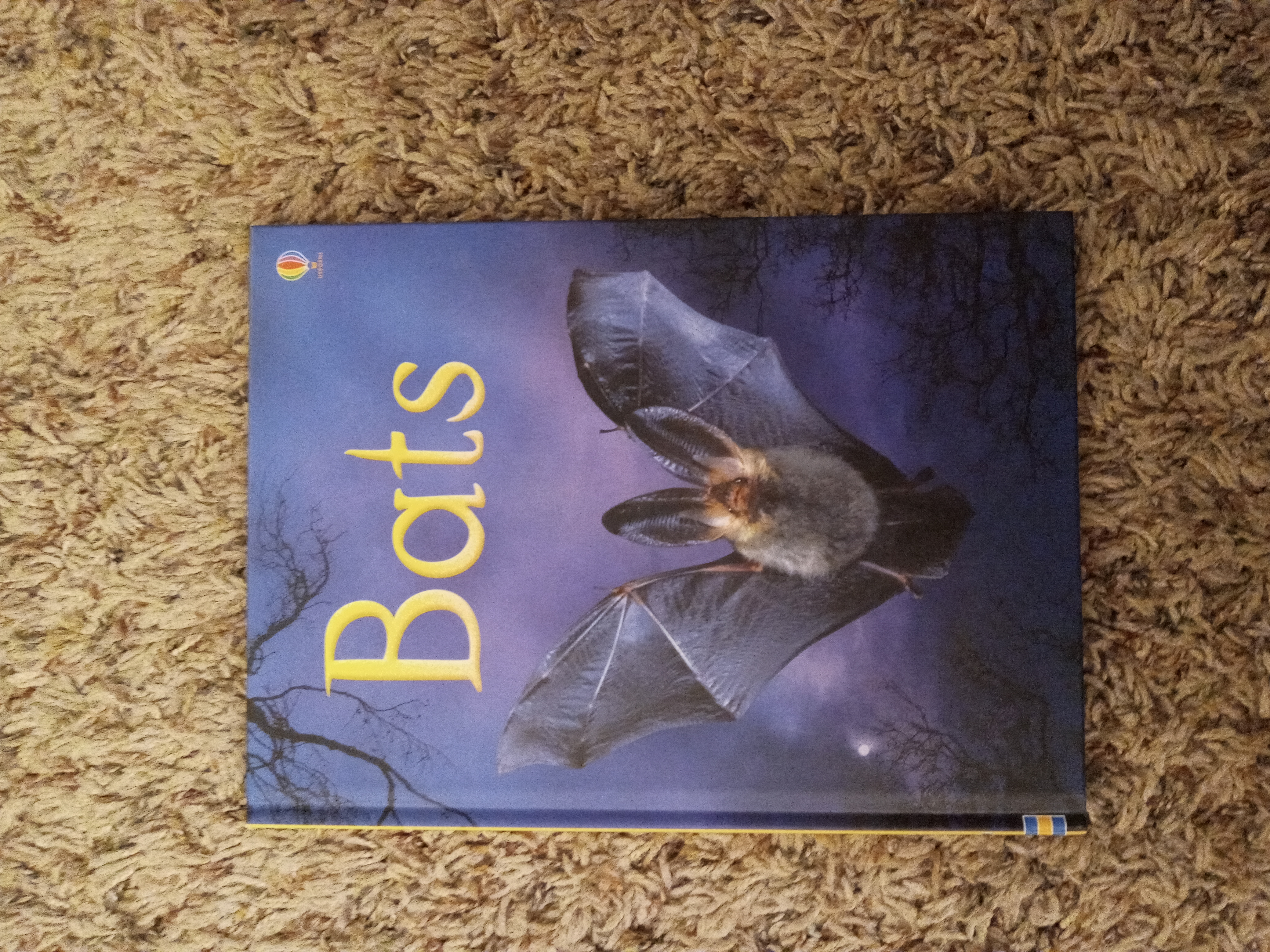 Bats
