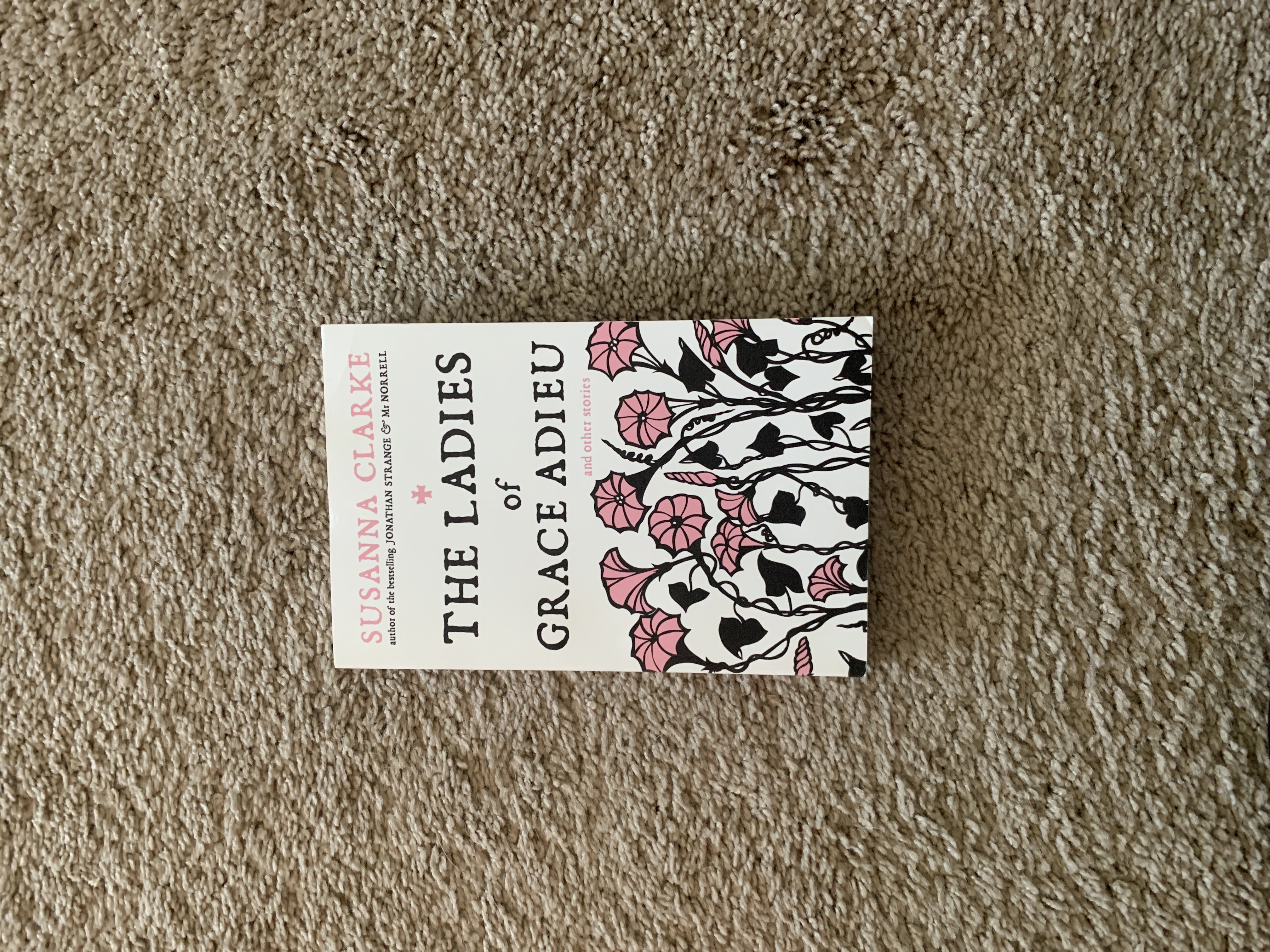 Sale image for b5abaaf3-28a2-43f0-a48d-b9f8fb99e784-FQMRqHAuNGWmGLE8ZfQq96iedZO2