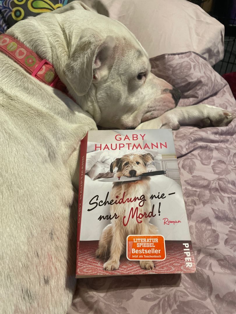 Scheidung nie-nur Mord