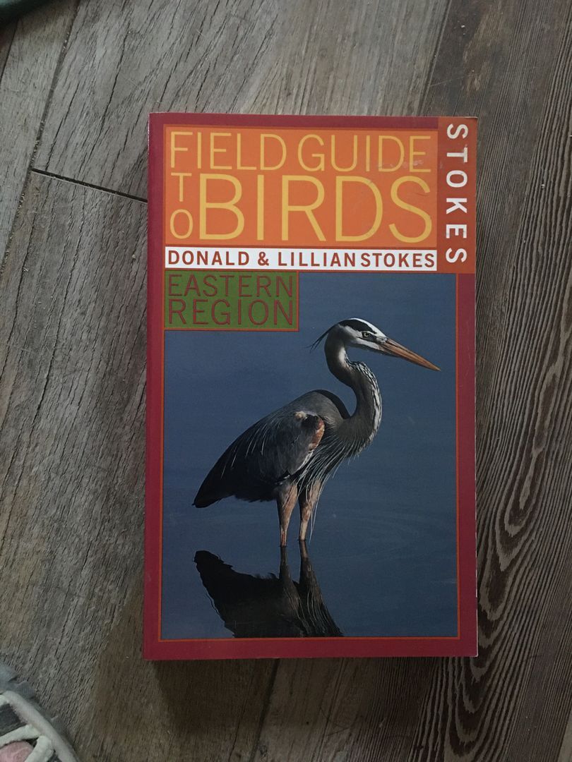 Stokes Field Guide to Birds
