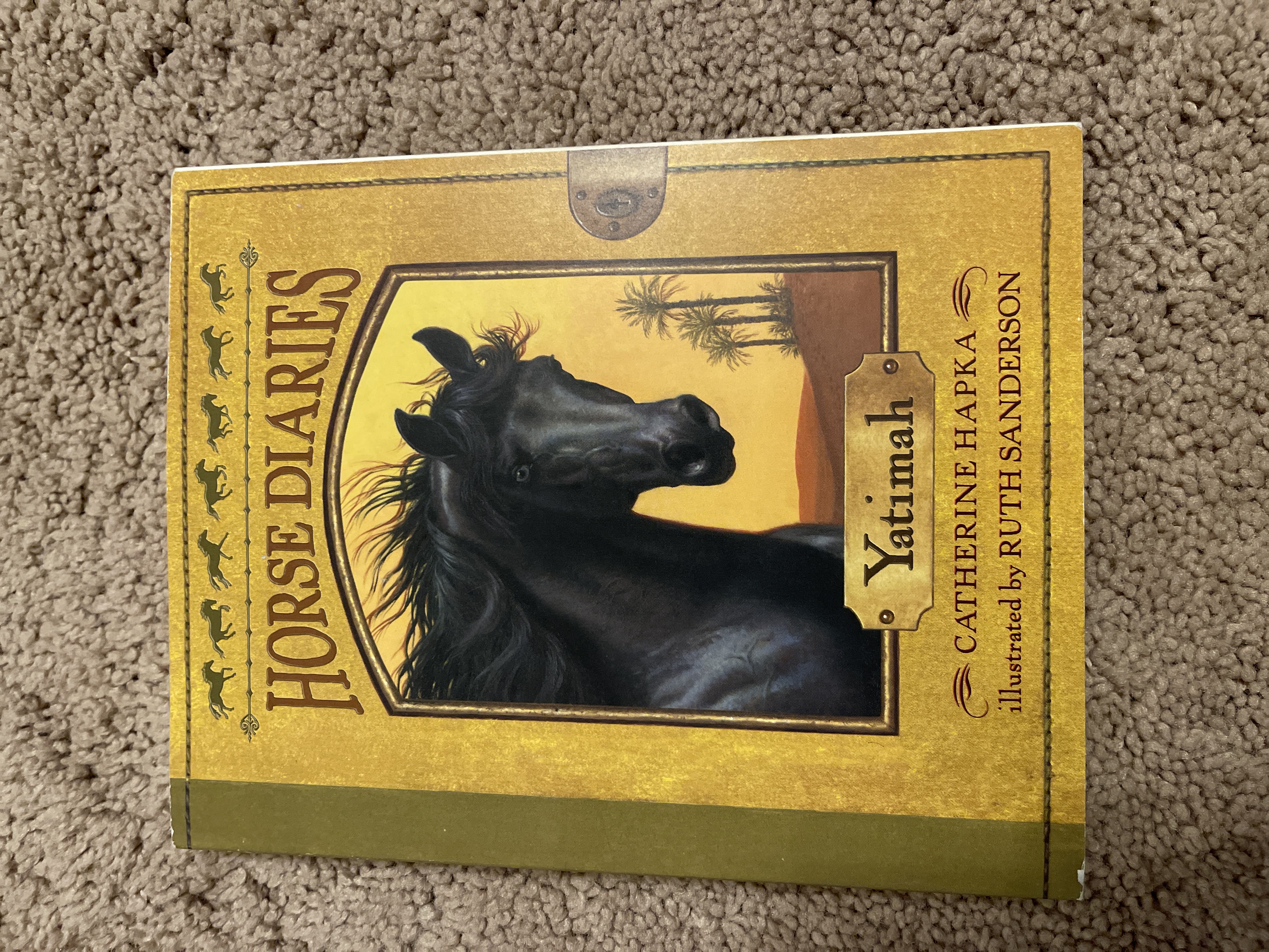 Horse Diaries #6: Yatimah