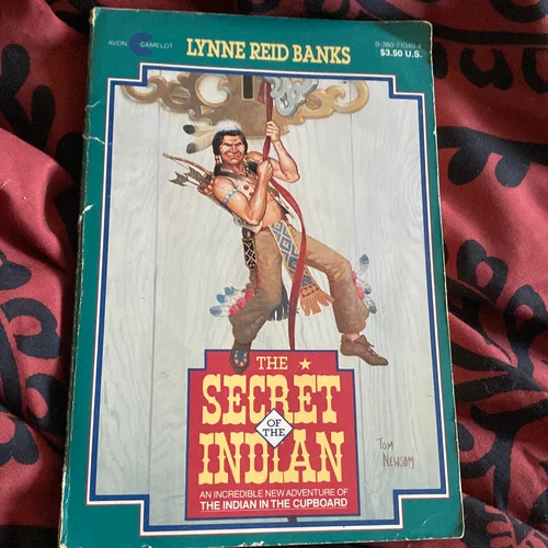 The Secret of the Indian