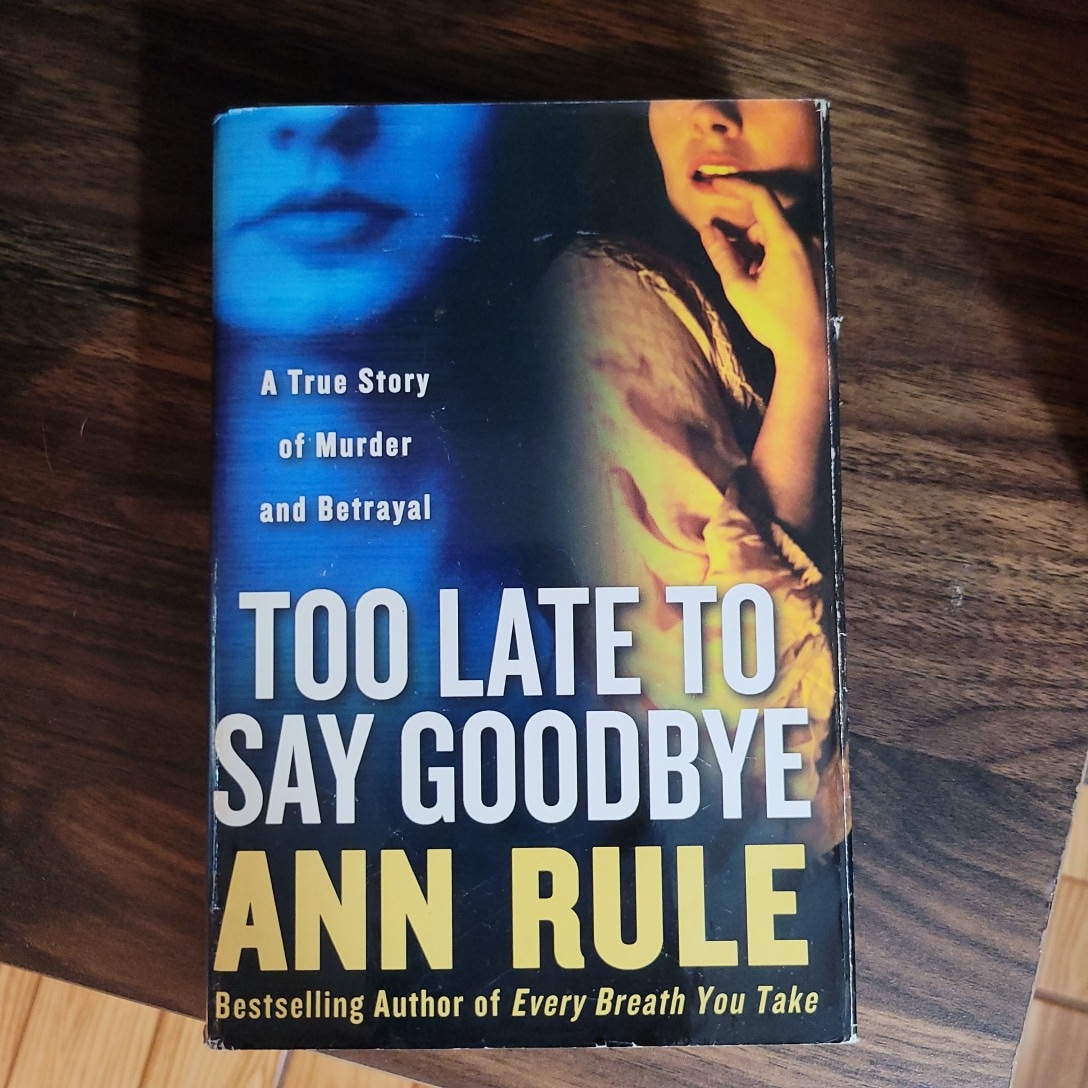Too Late to Say Goodbye
