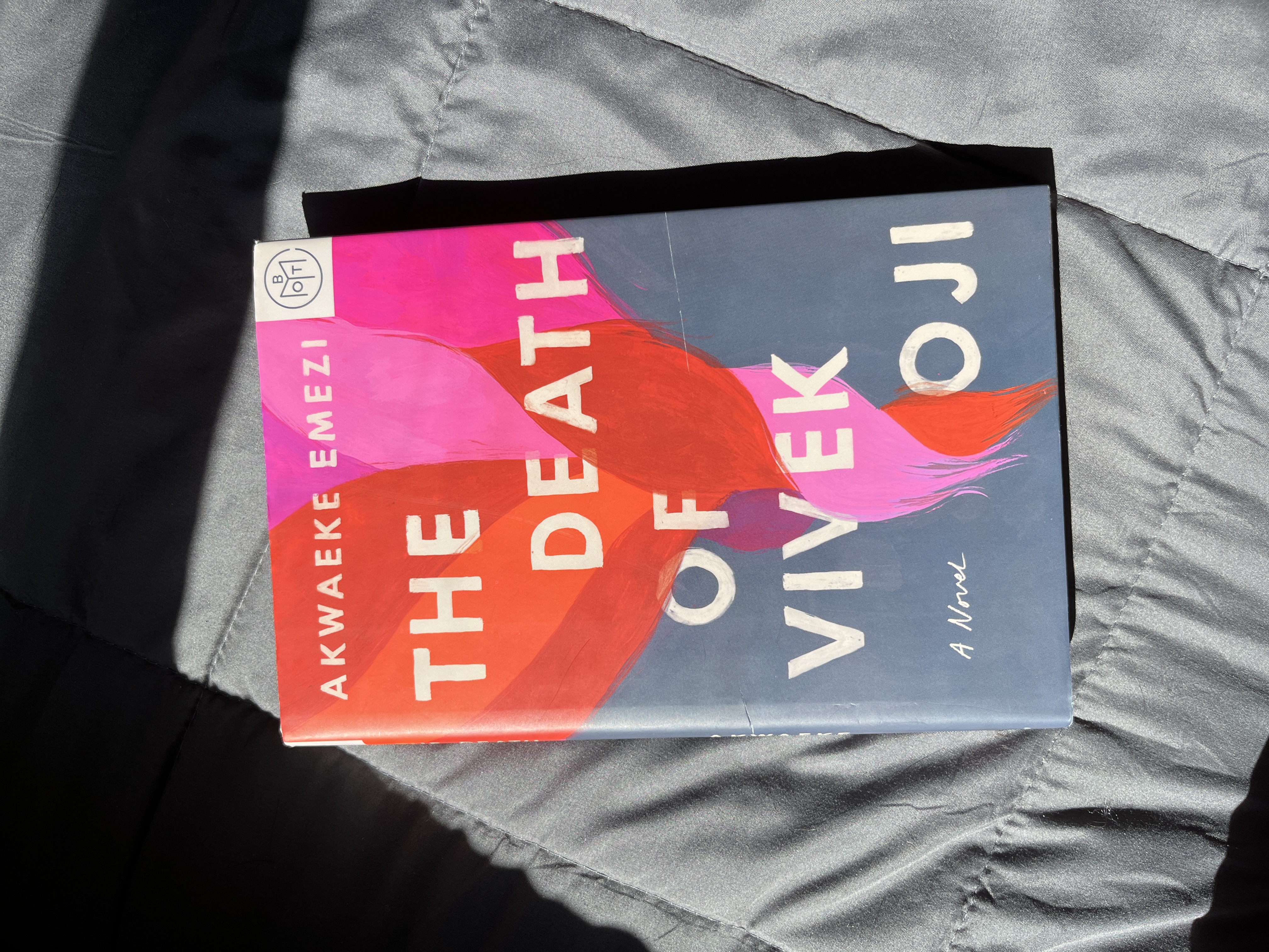 The Death of Vivek Oji