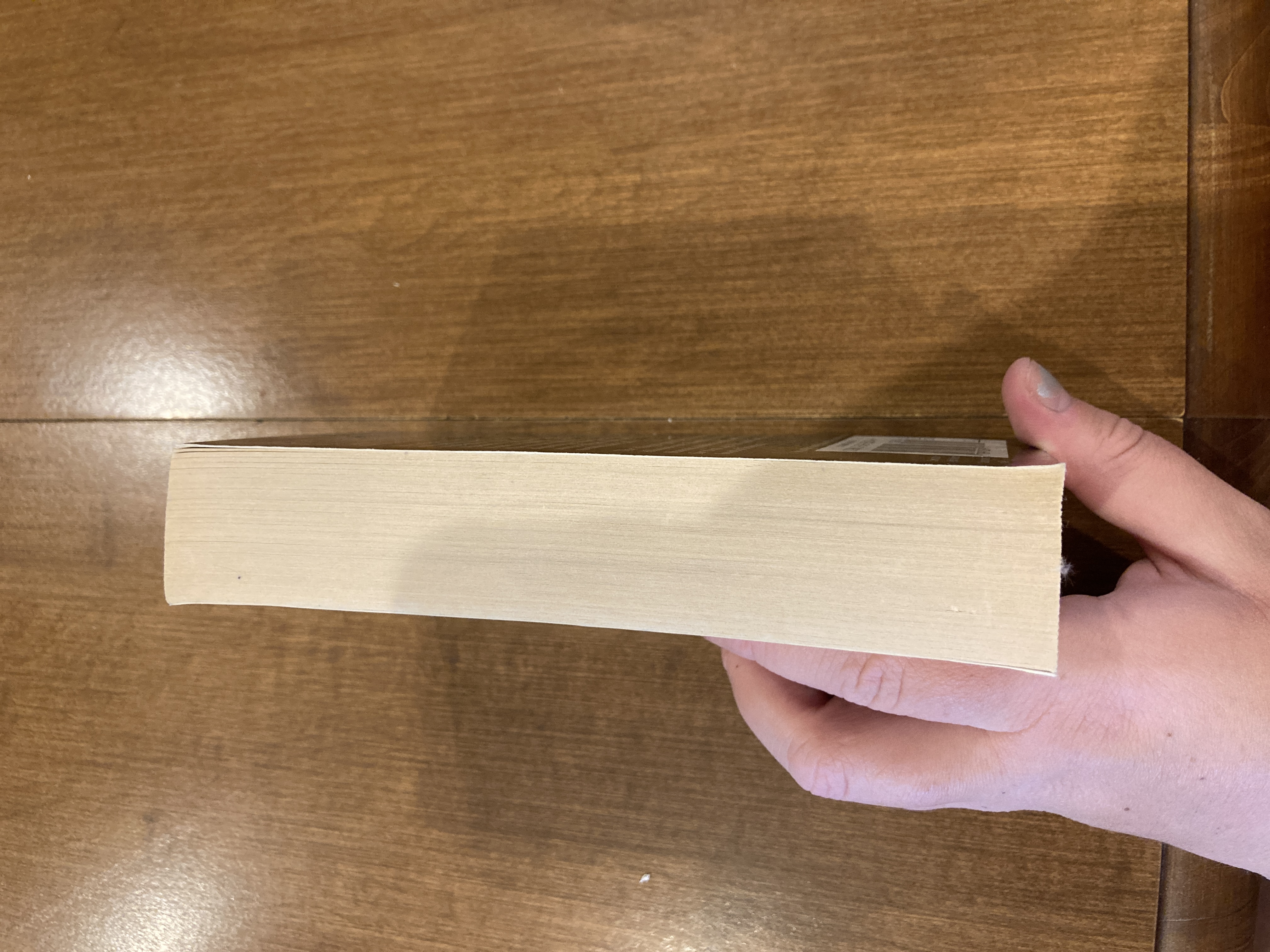 The Talismans of Shannara