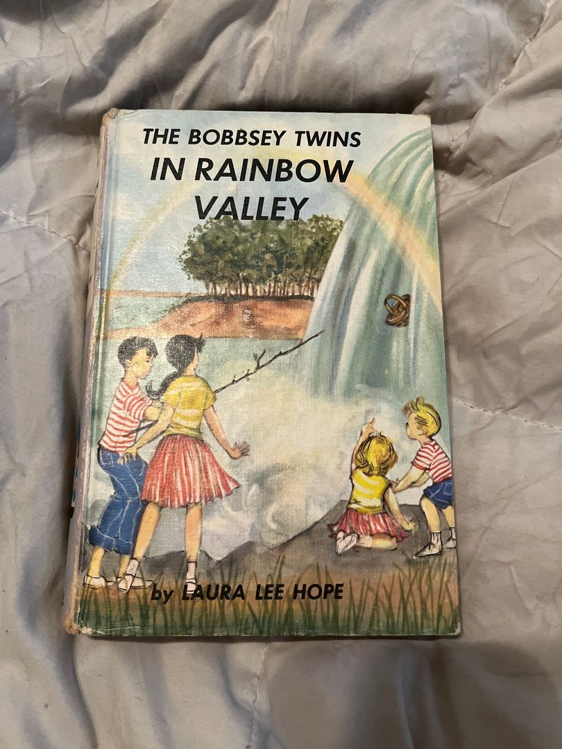The Bobbsey Twins in Rainbow Valley #43