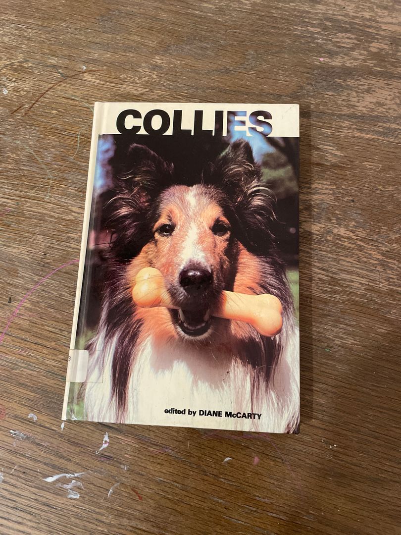 Collies