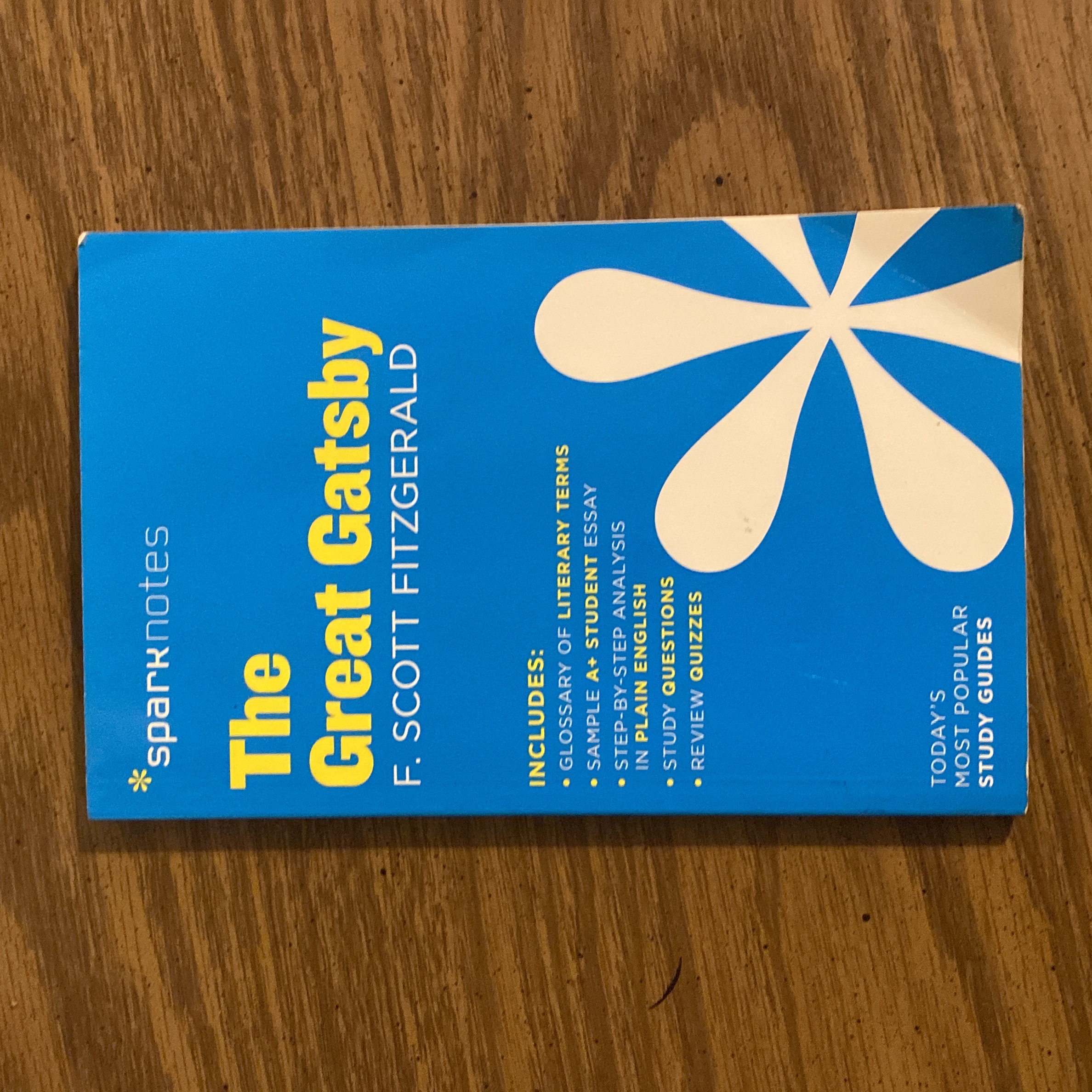 The Great Gatsby SparkNotes Literature Guide