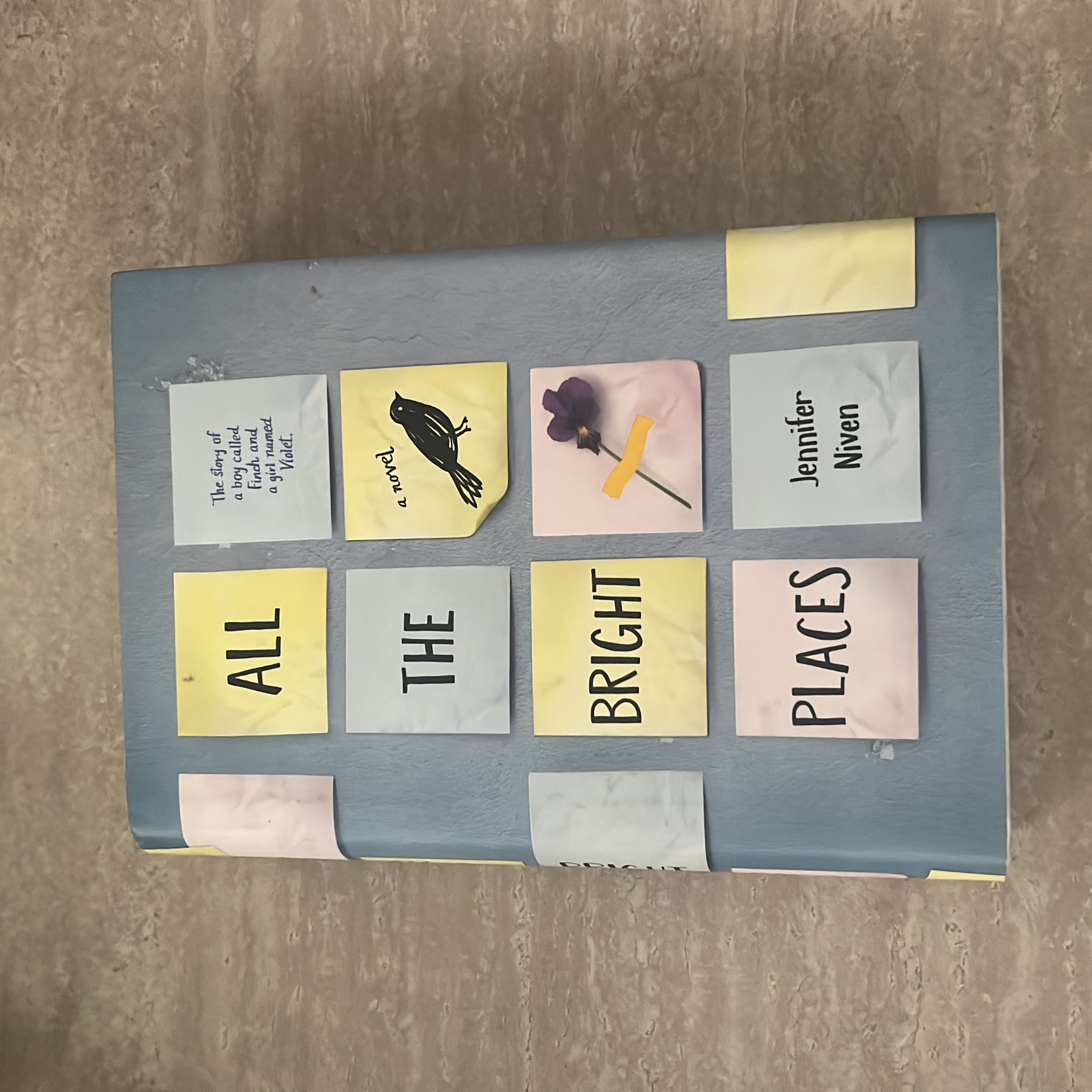 All the Bright Places