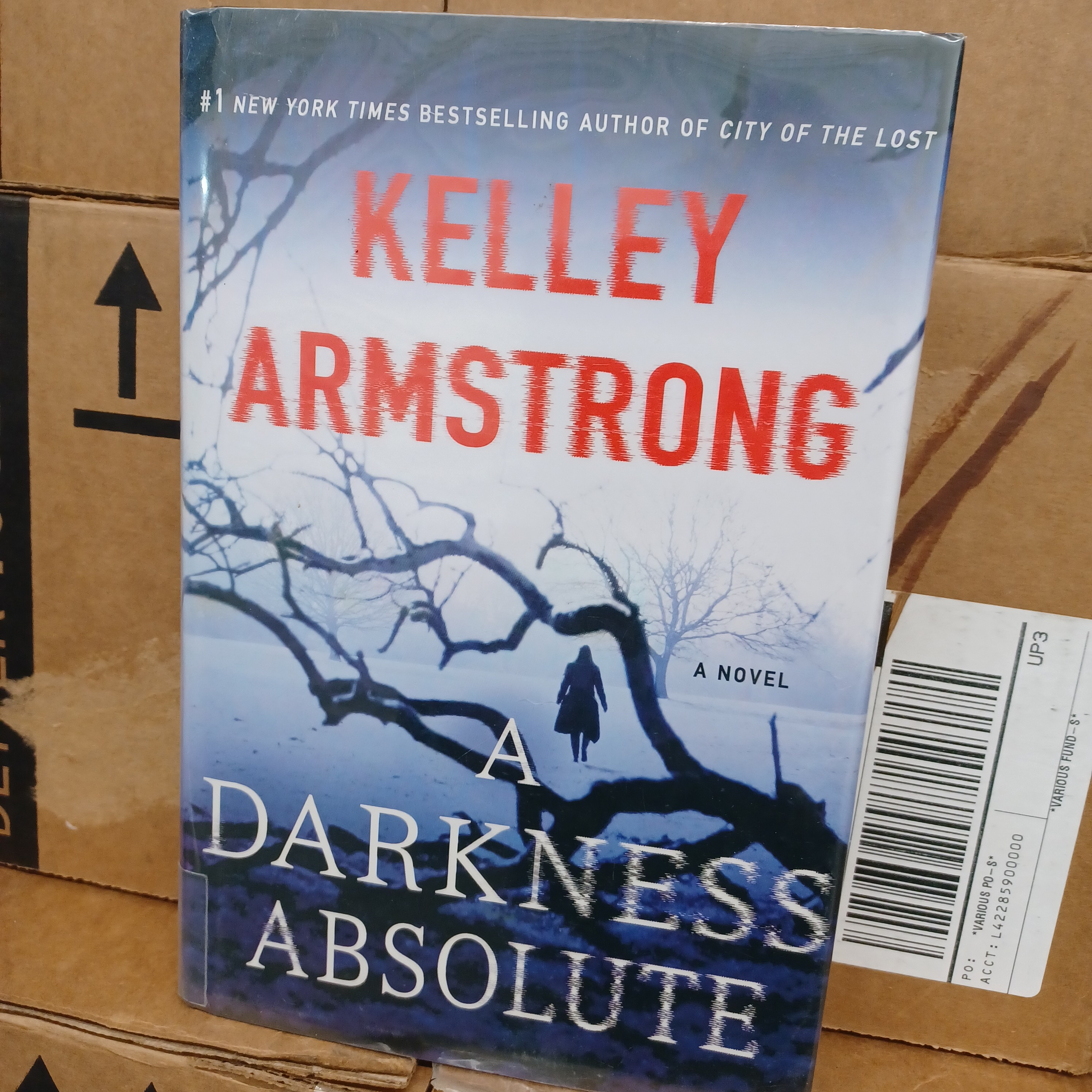 A Darkness Absolute