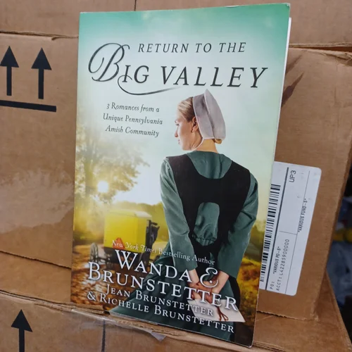 The Return to the Big Valley