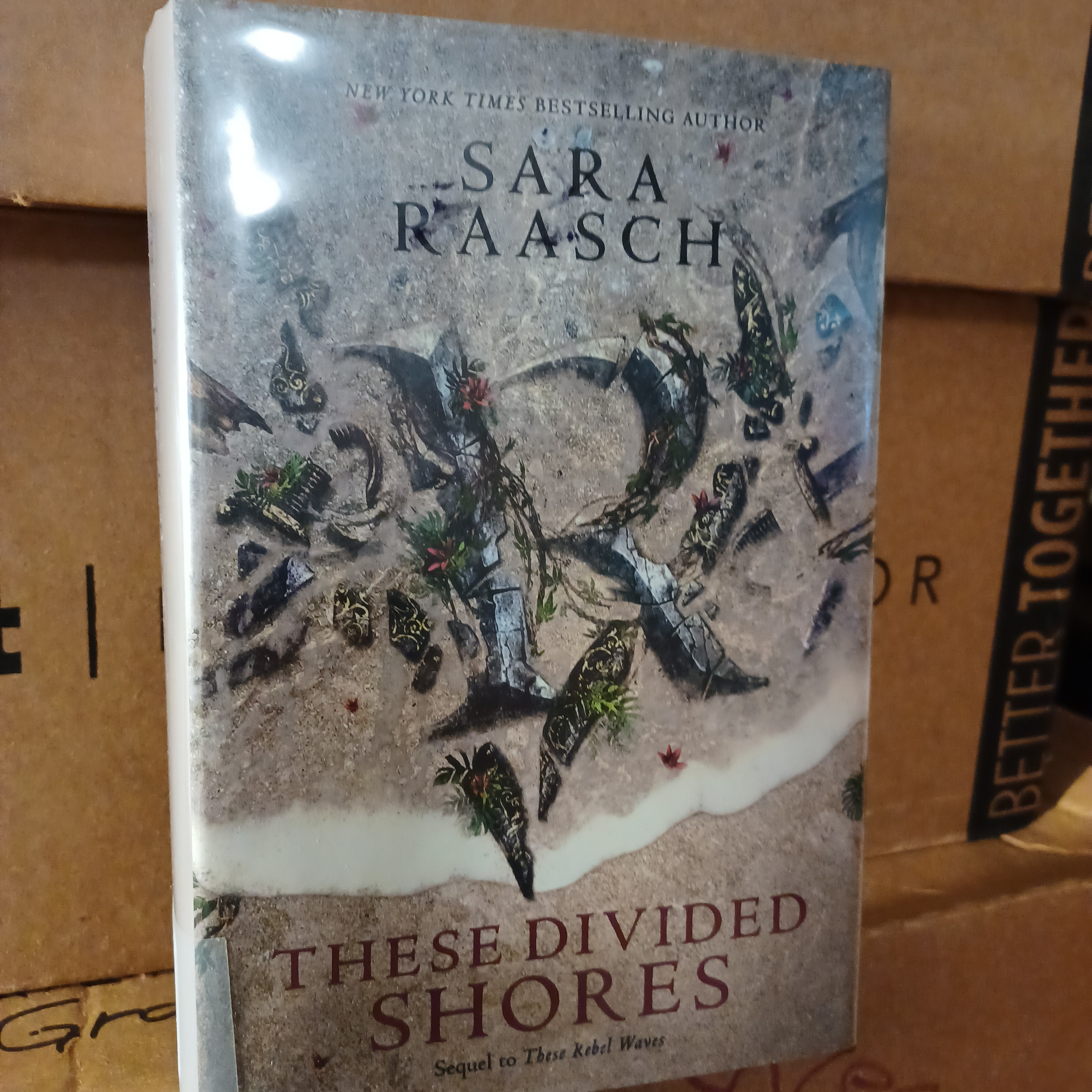These Divided Shores