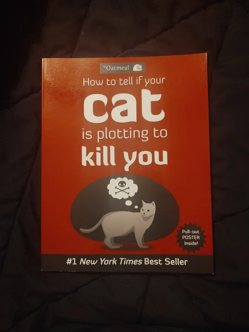 How to Tell If Your Cat Is Plotting to Kill You
