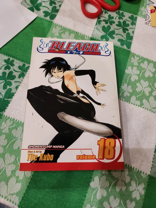 Bleach, Vol. 18