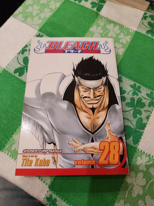 Bleach, Vol. 28