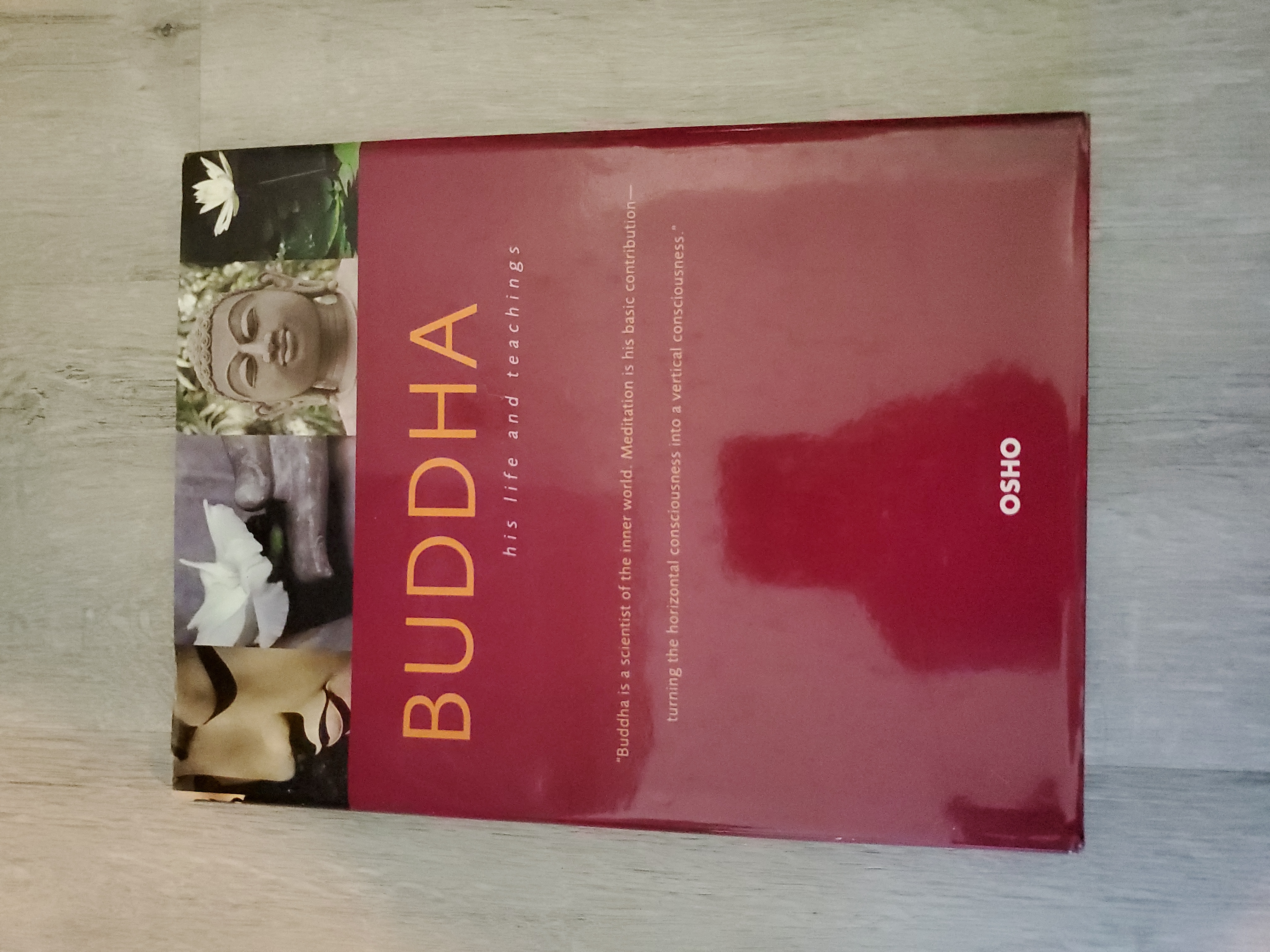 Buddha