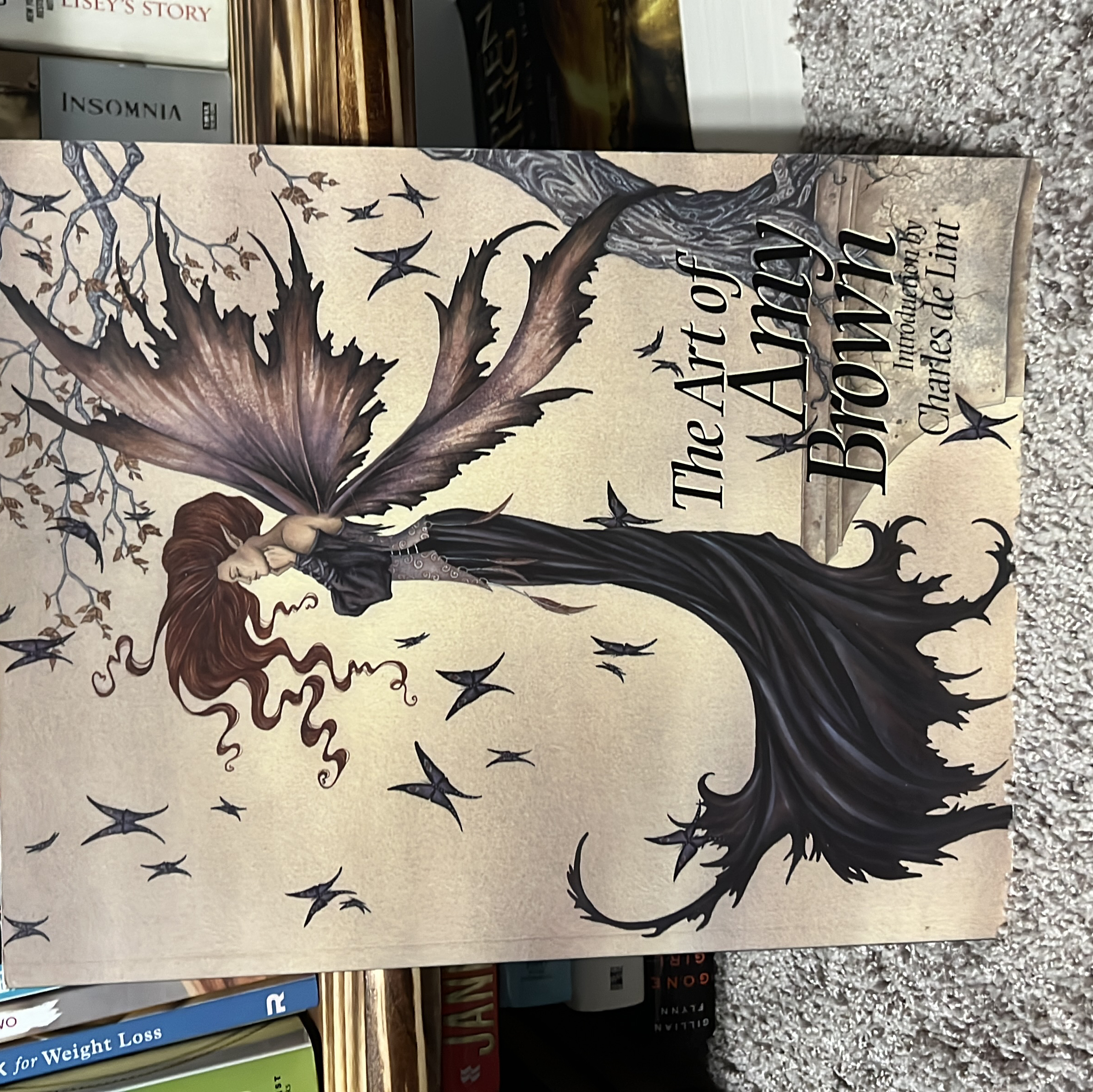 The Art of Amy Brown