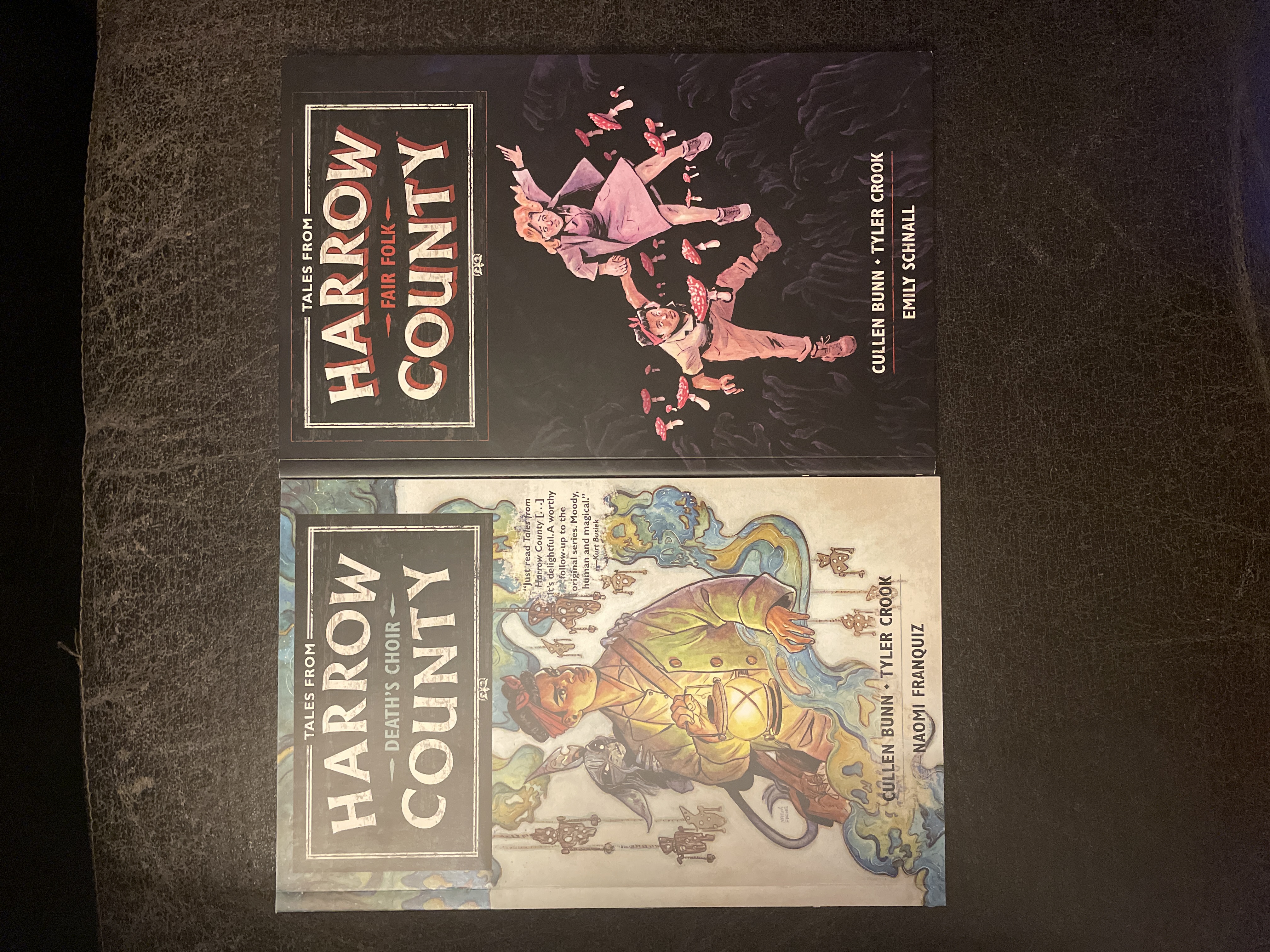 Tales from Harrow County Volume 1: Death's Choir