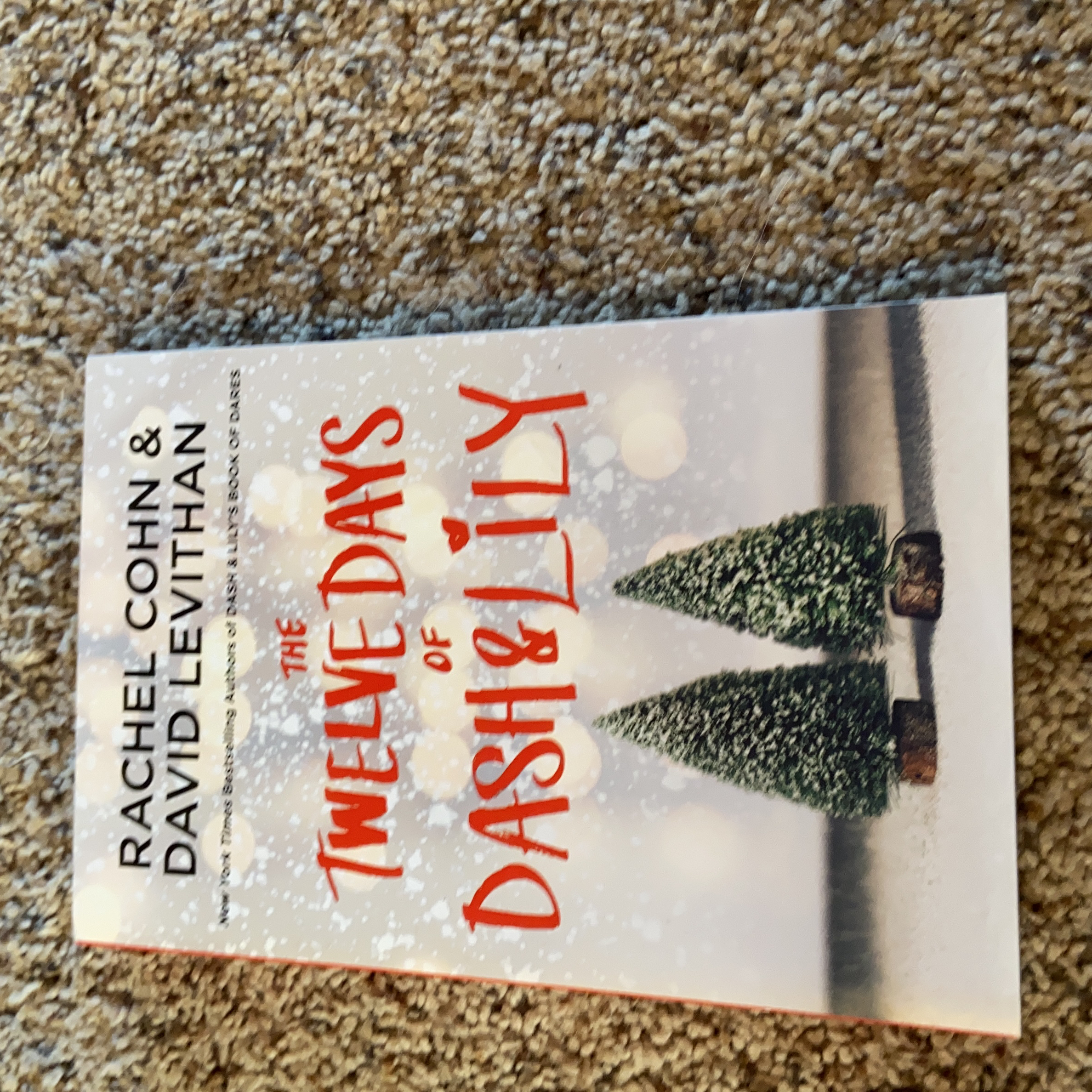 The Twelve Days of Dash and Lily