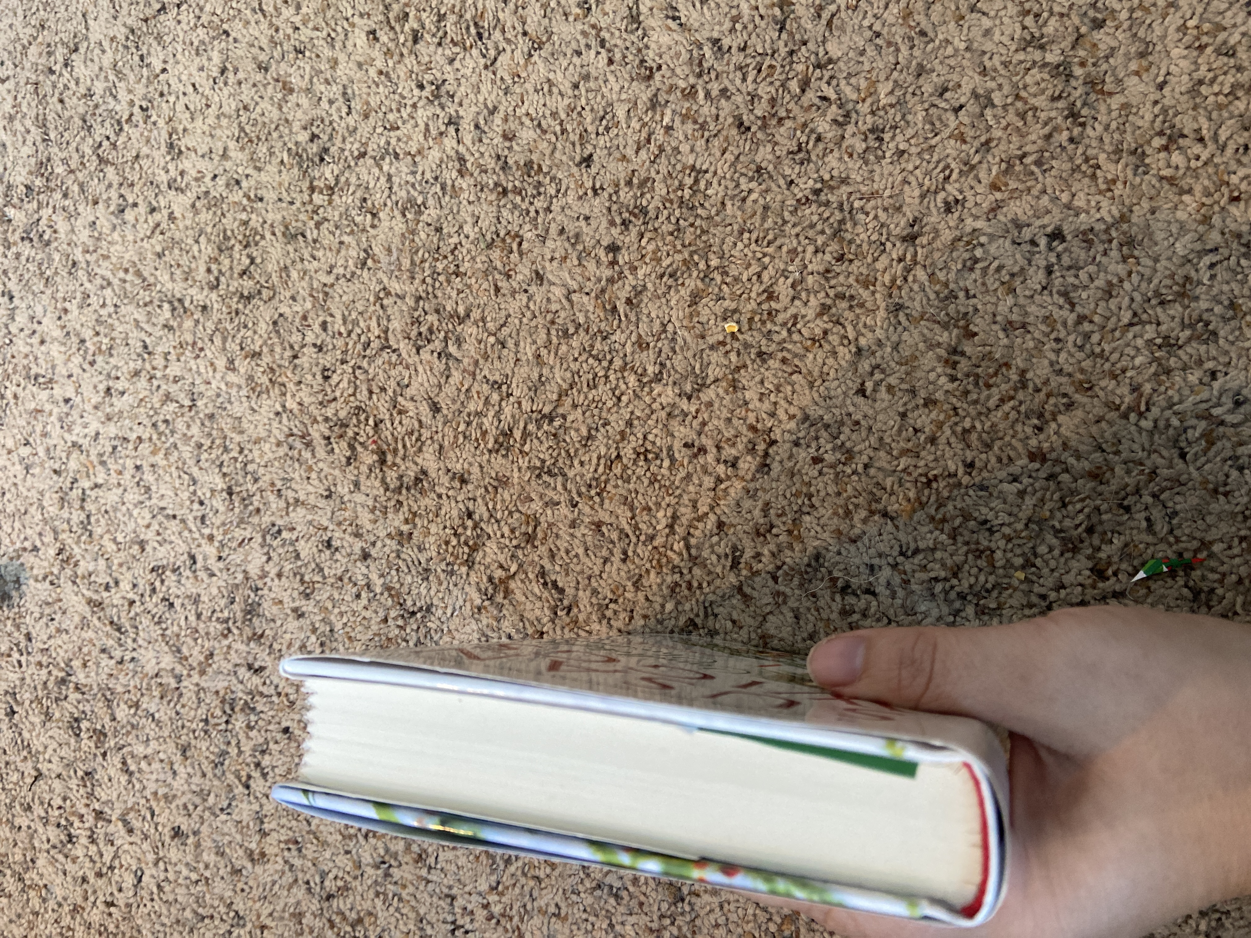 Candlelight Christmas