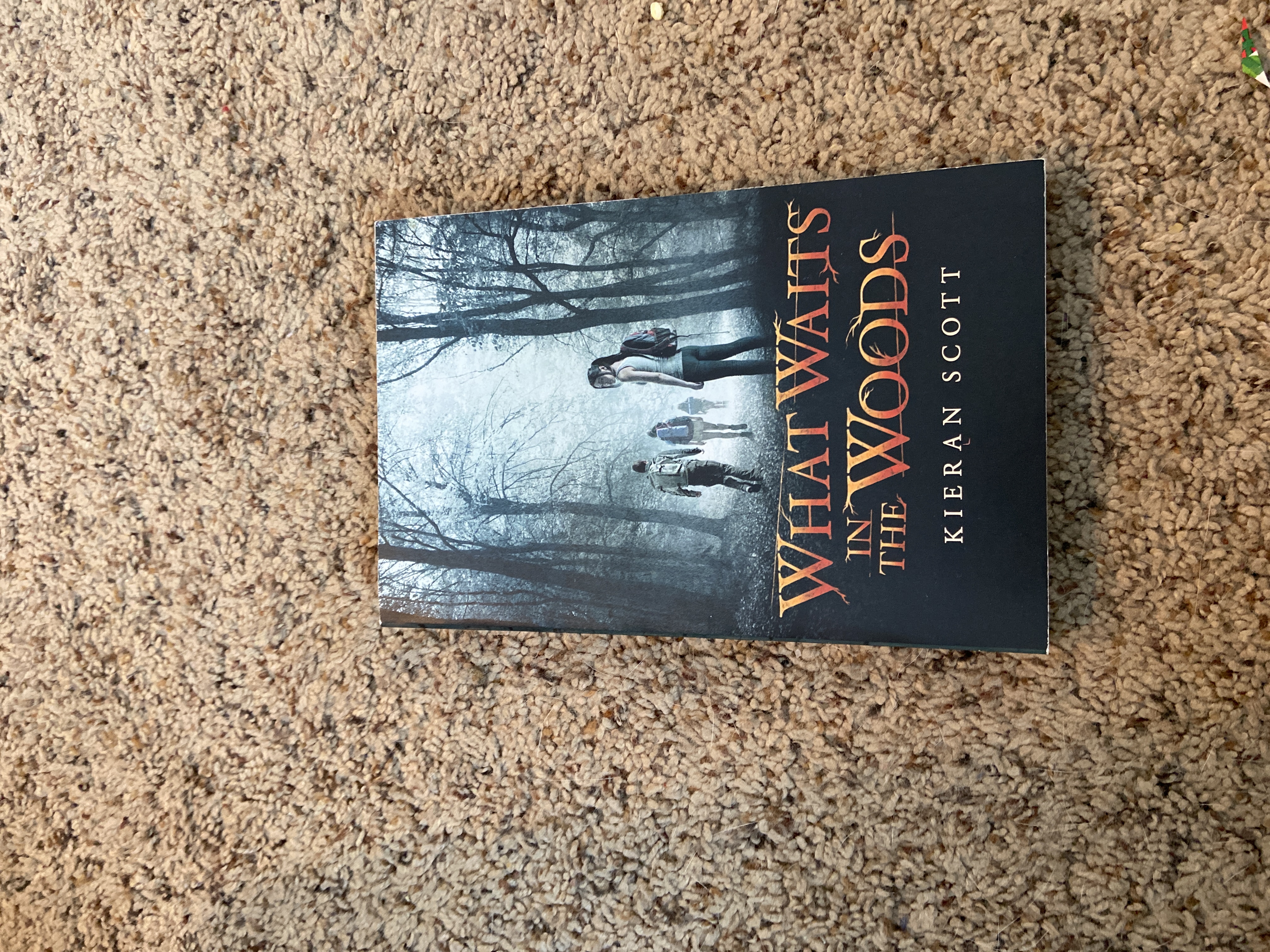What Waits in the Woods
