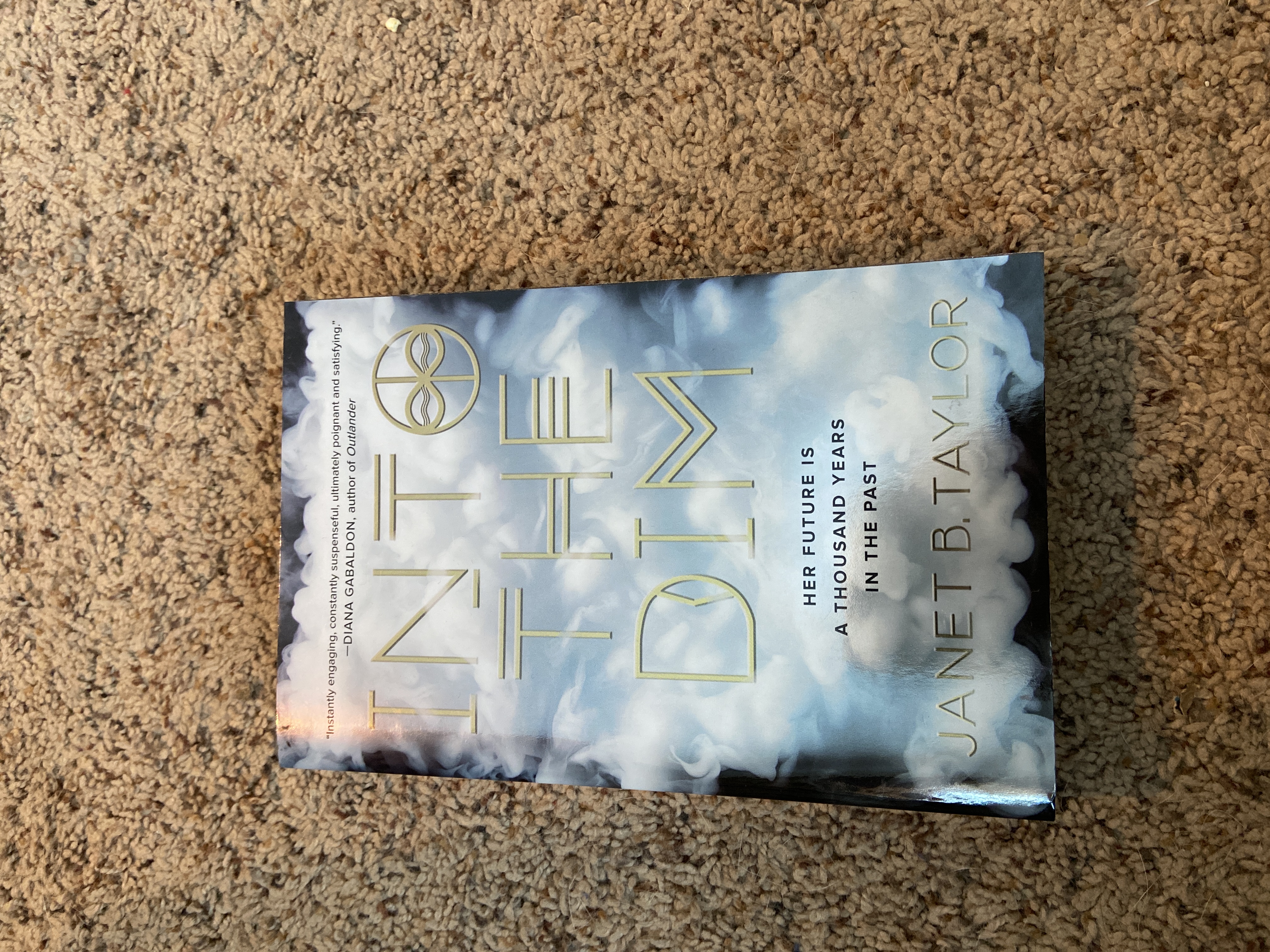 Into the Dim by Janet B. Taylor