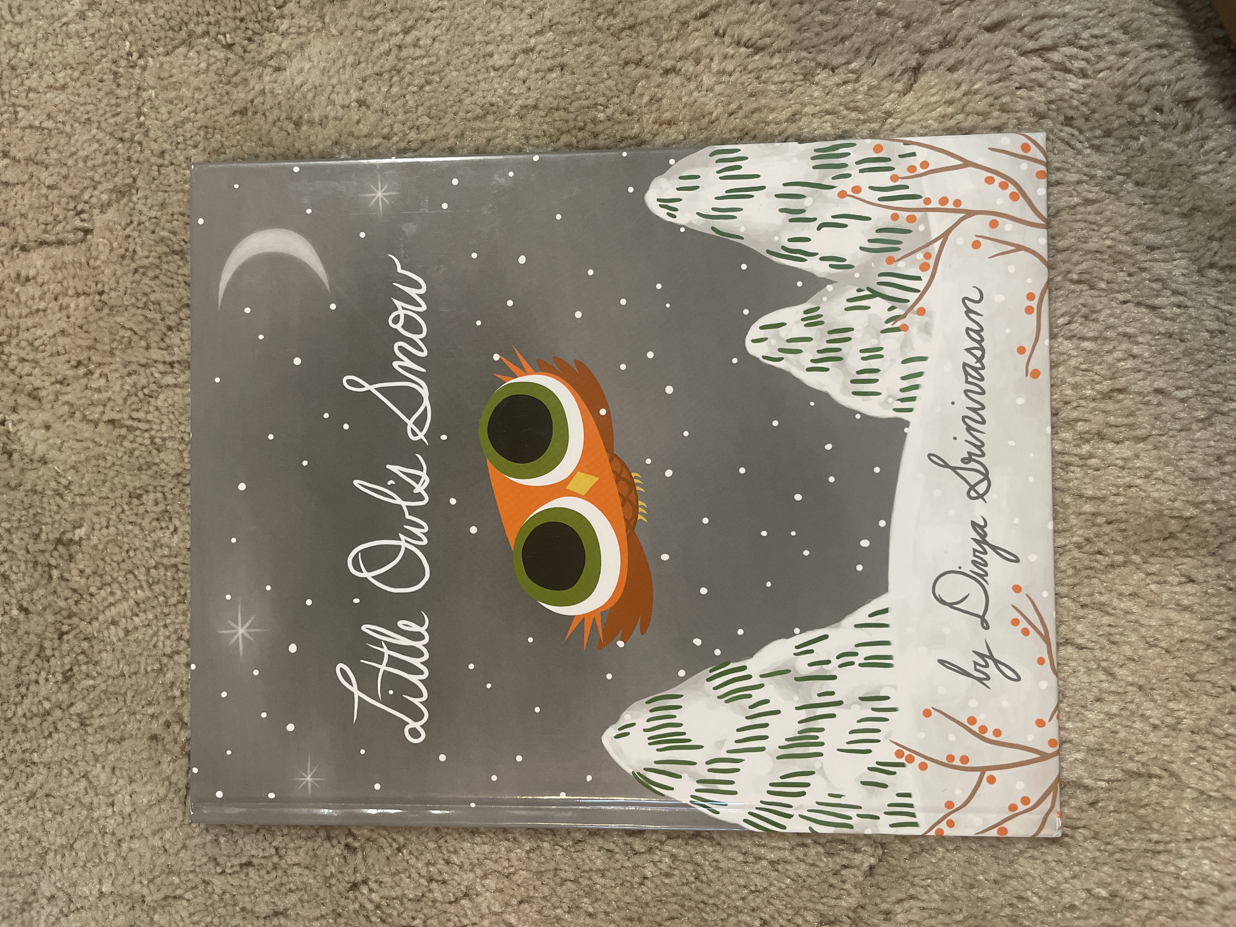 Little Owl's Snow