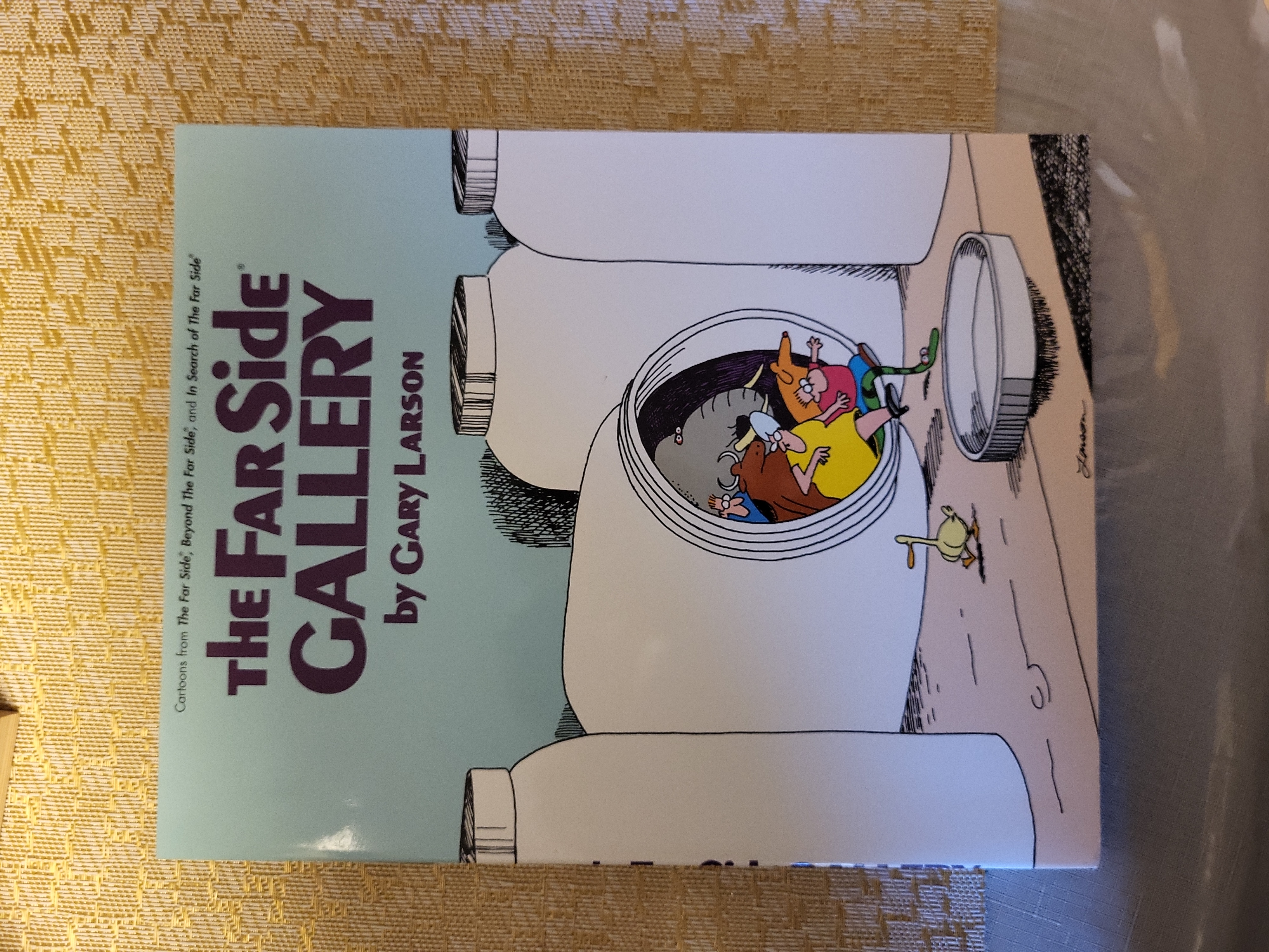 The Far Side Gallery 5/v/five Gary Larson FREE SHIPPING paperback cartoon humor | UK