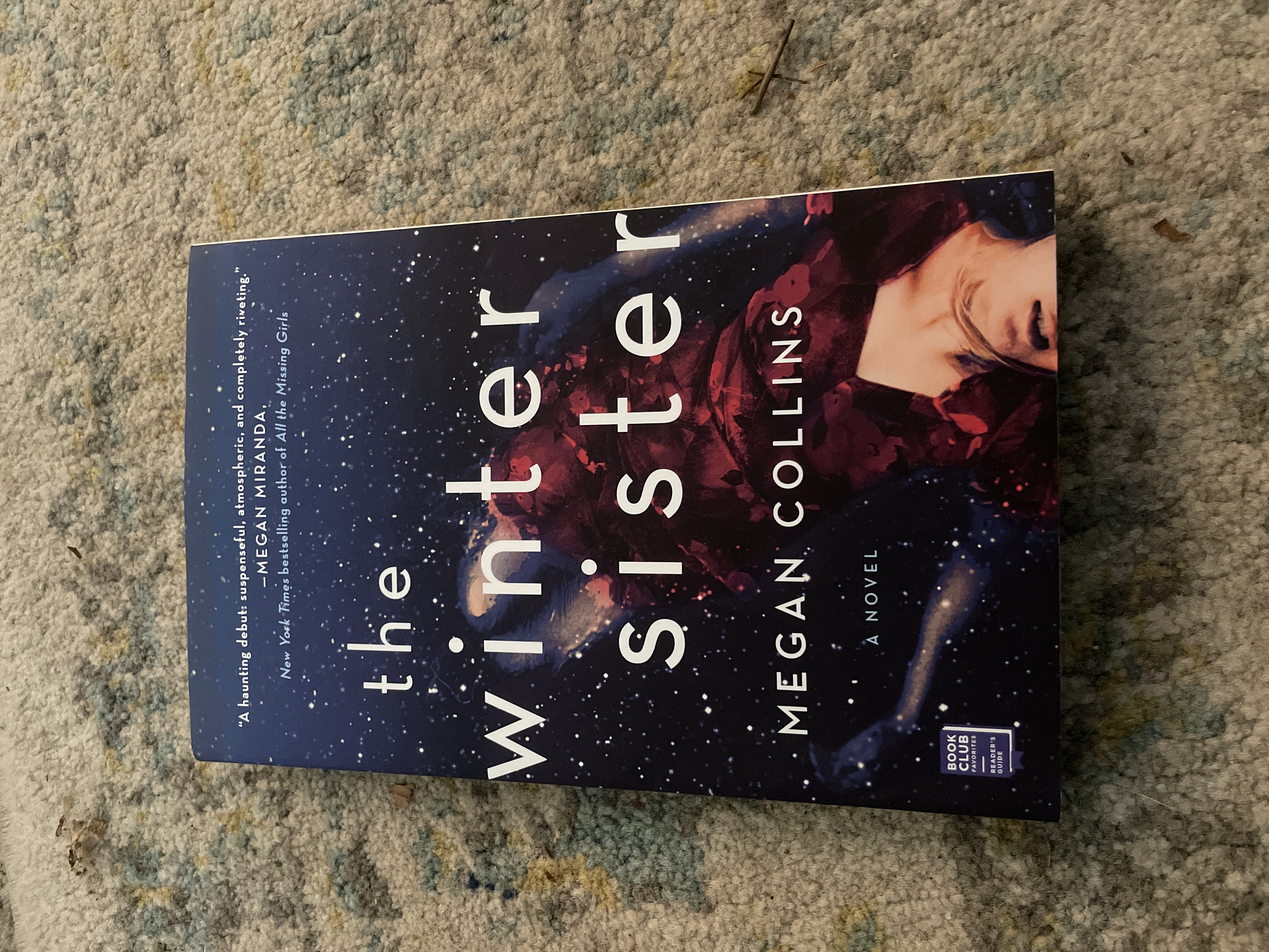 The Winter Sister