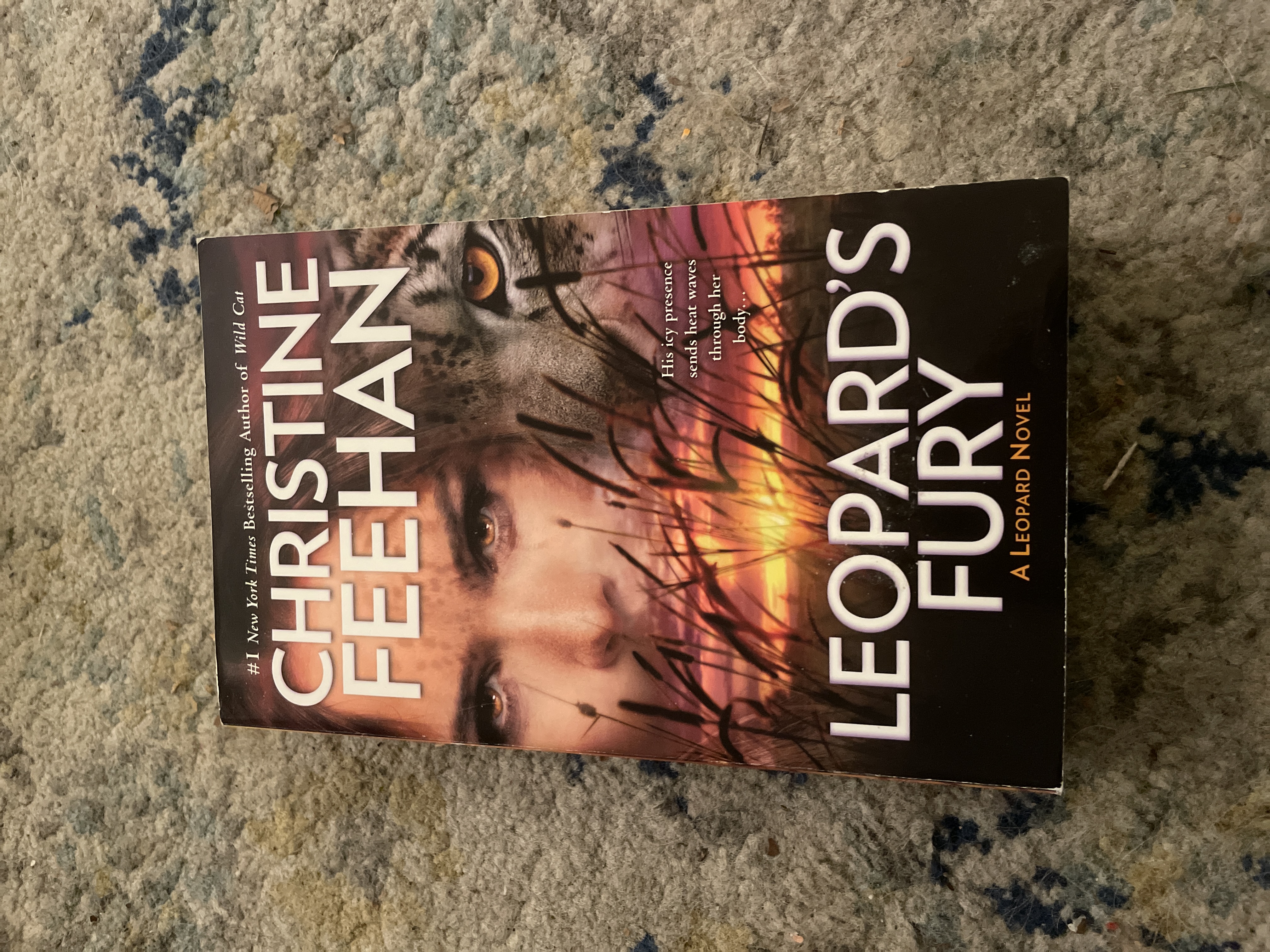 Leopard's Fury