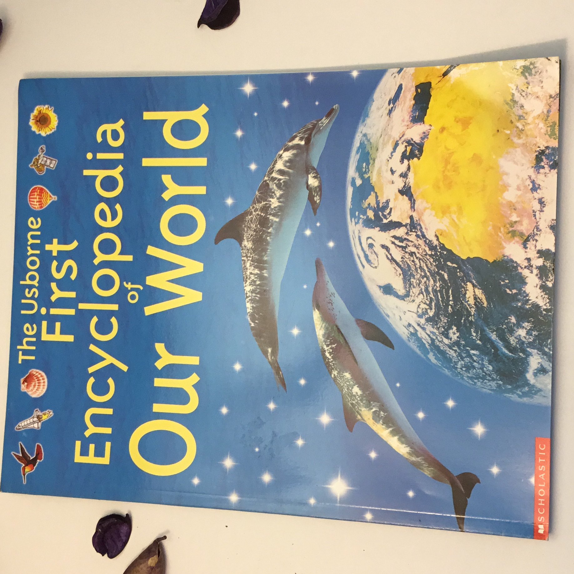 The Usborne First Encyclopedia of Our World
