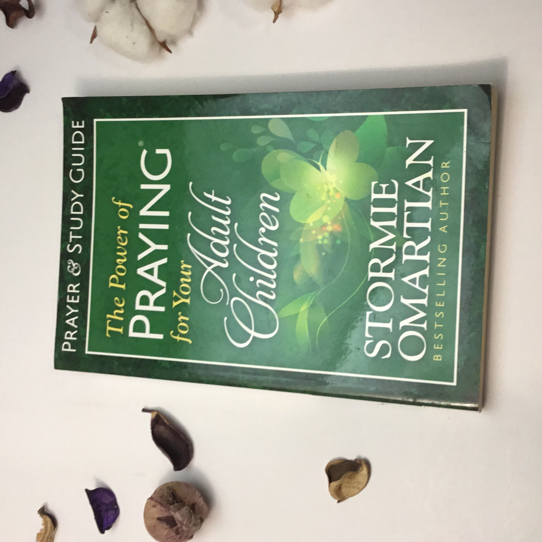 The Power of Praying for Your Adult Children Prayer and Study Guide