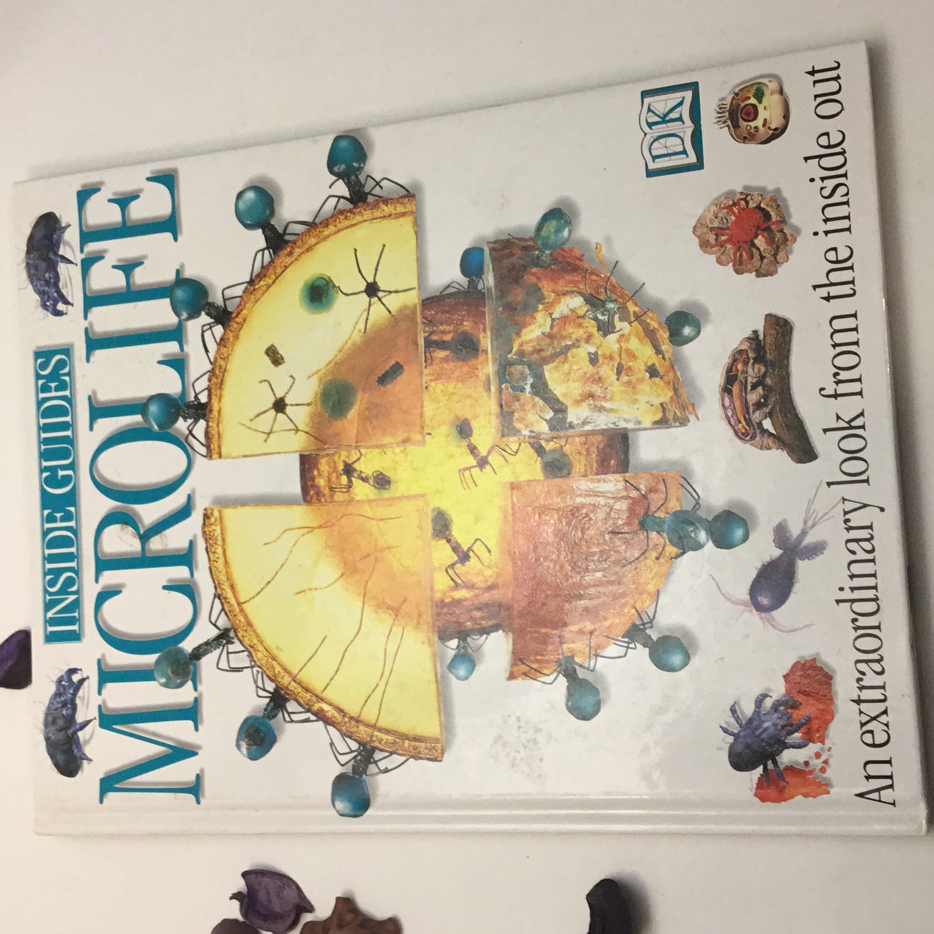 Microlife (Inside Guides)