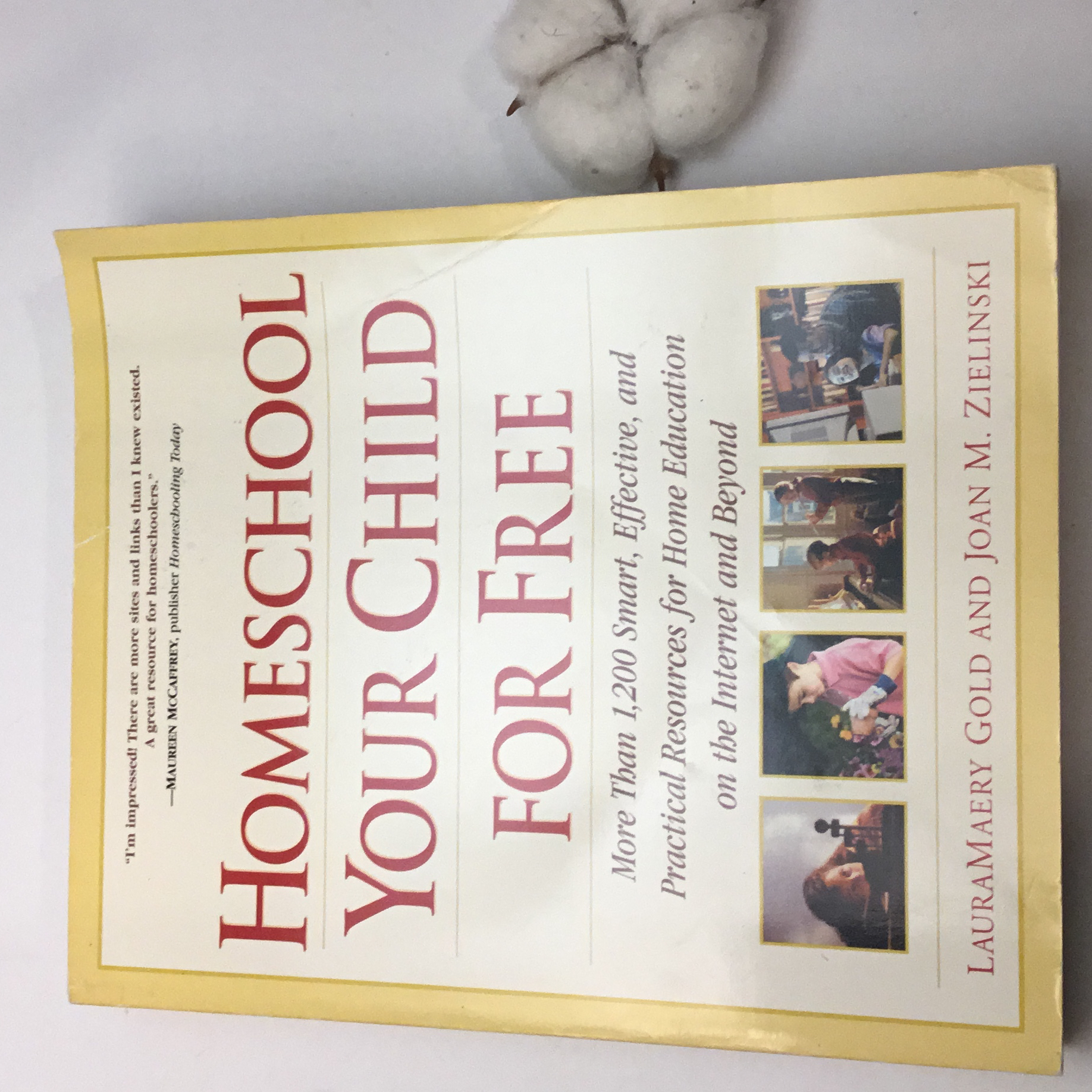 Homeschool your child for free