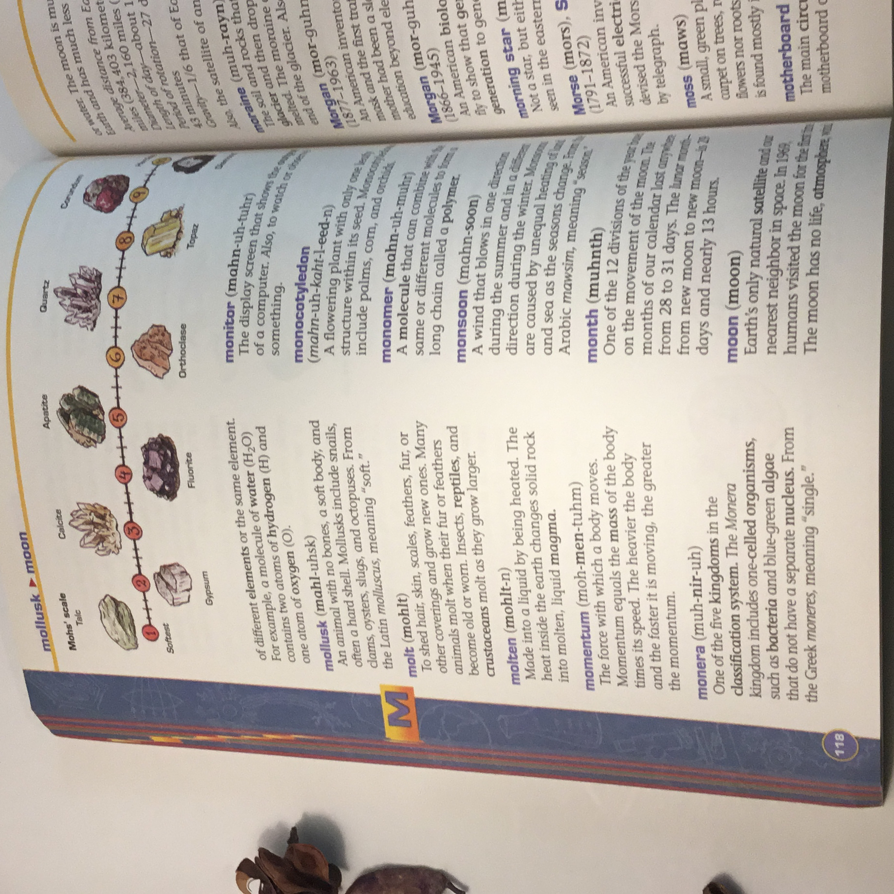Scholastic Science Dictionary by Melvin Berger