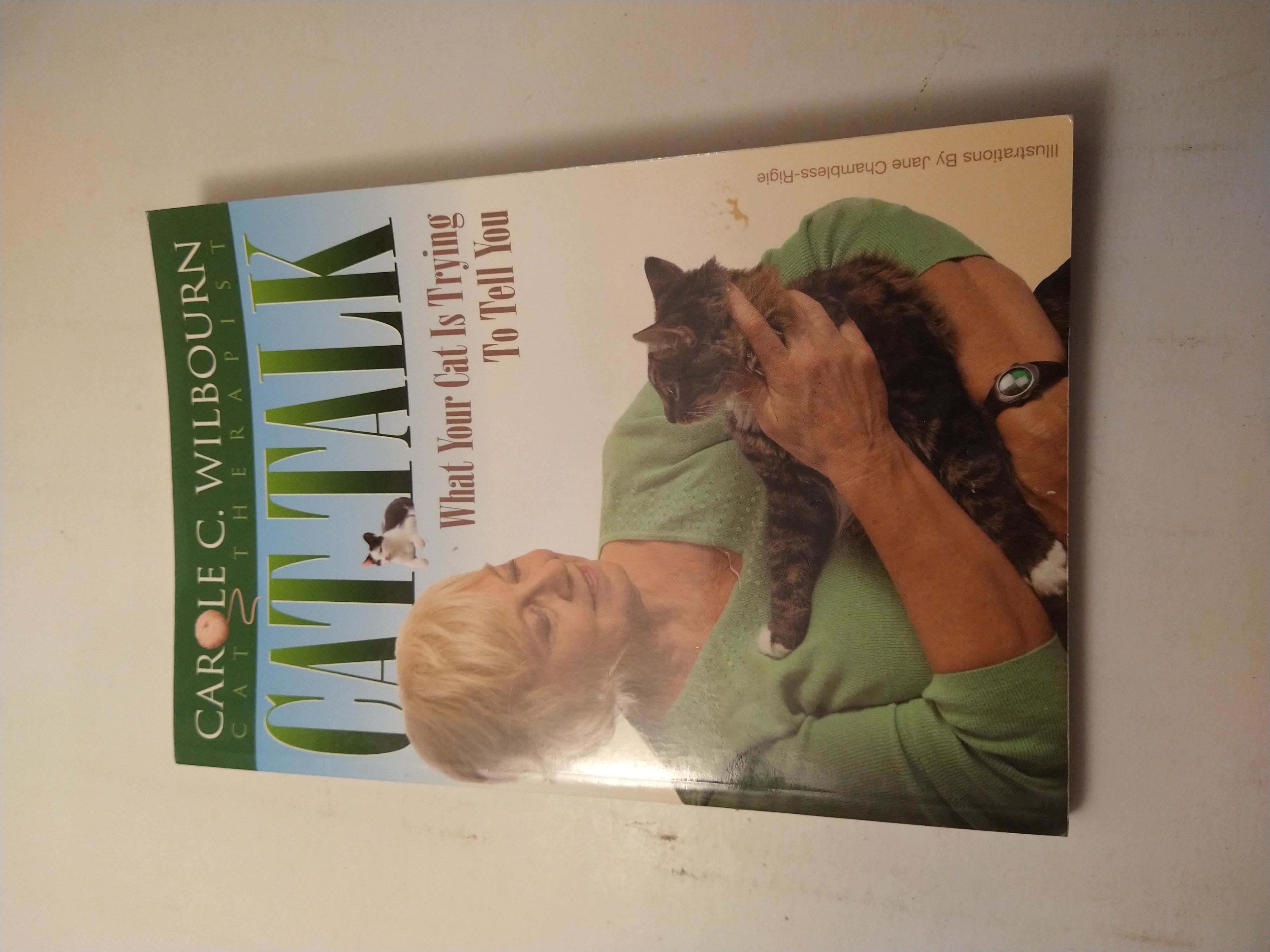 Cat talk