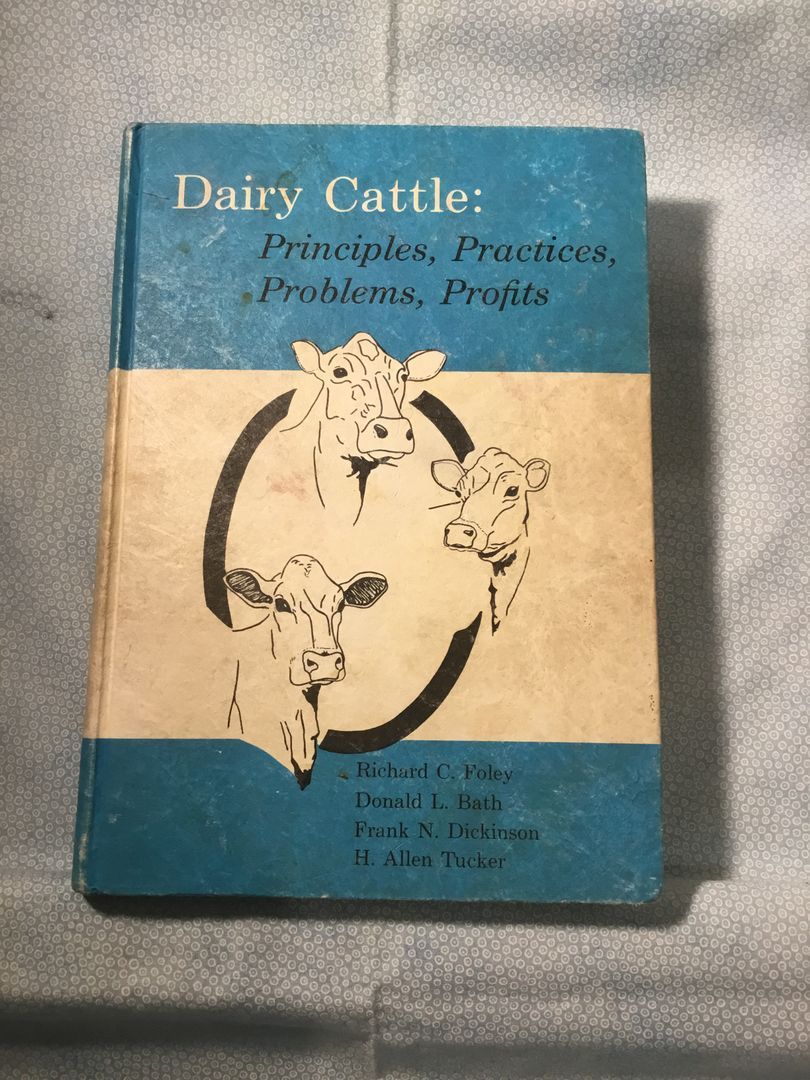 Dairy Cattle